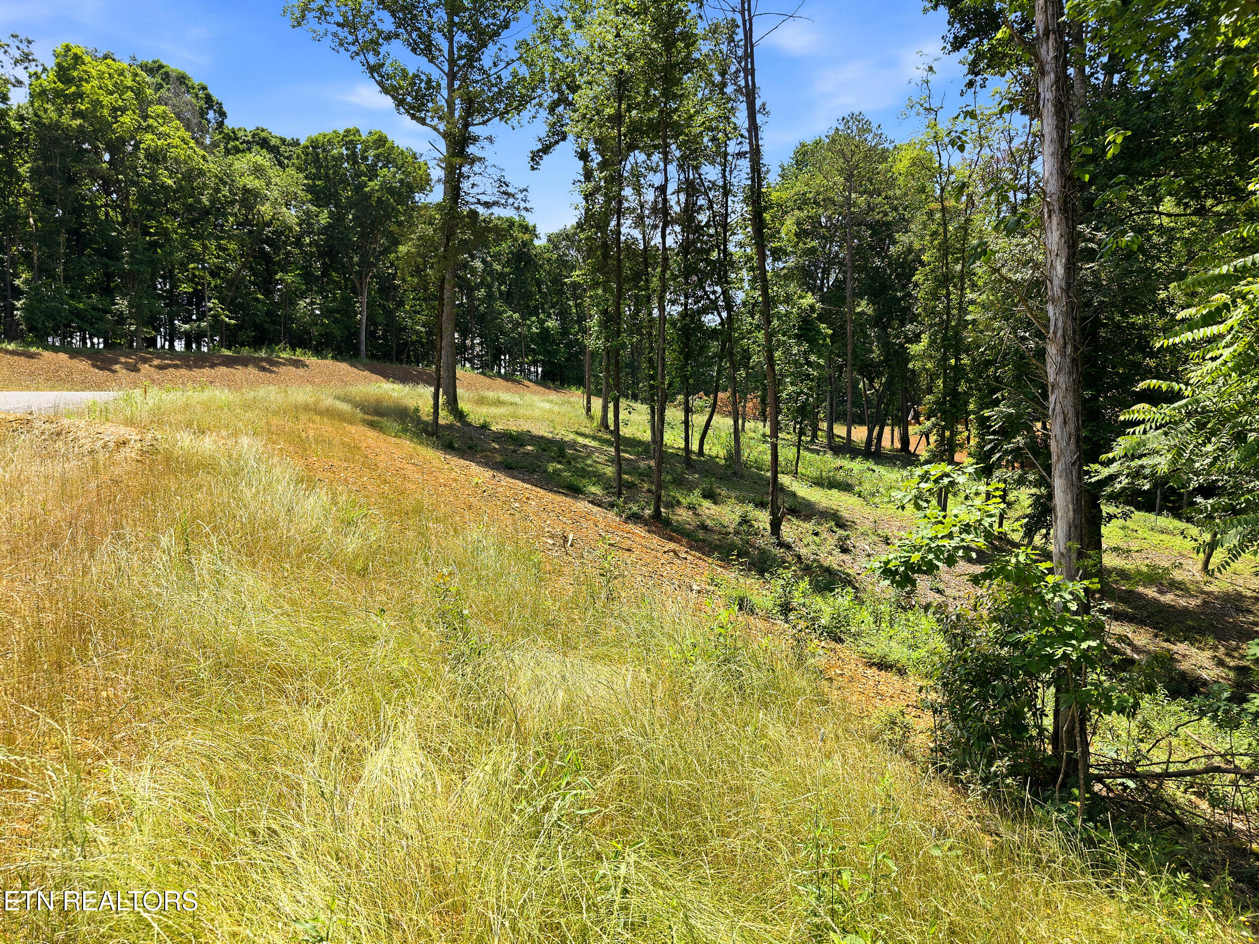 147 Summit View Drive Loudon TN 37774