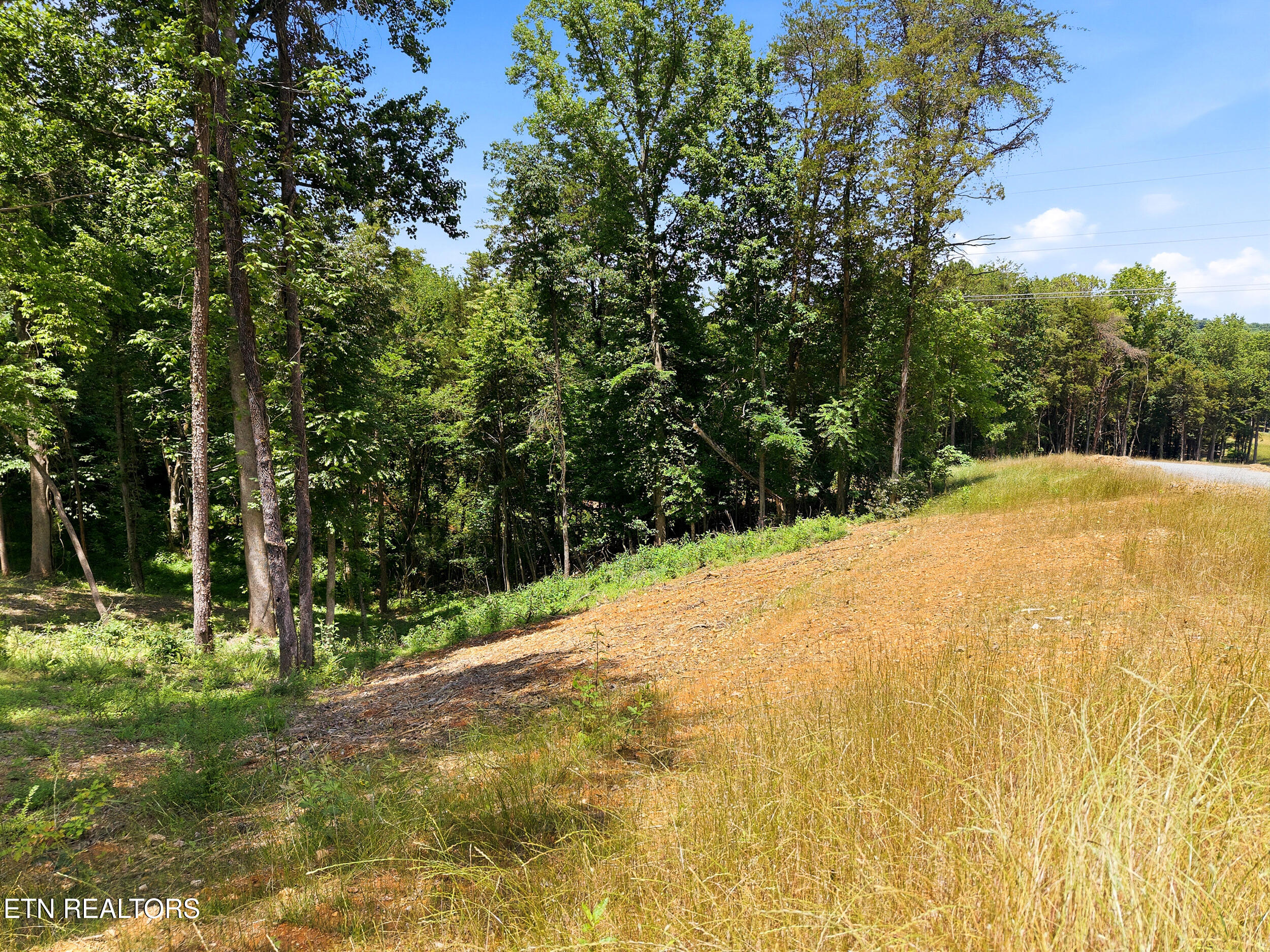 147 Summit View Drive Loudon TN 37774