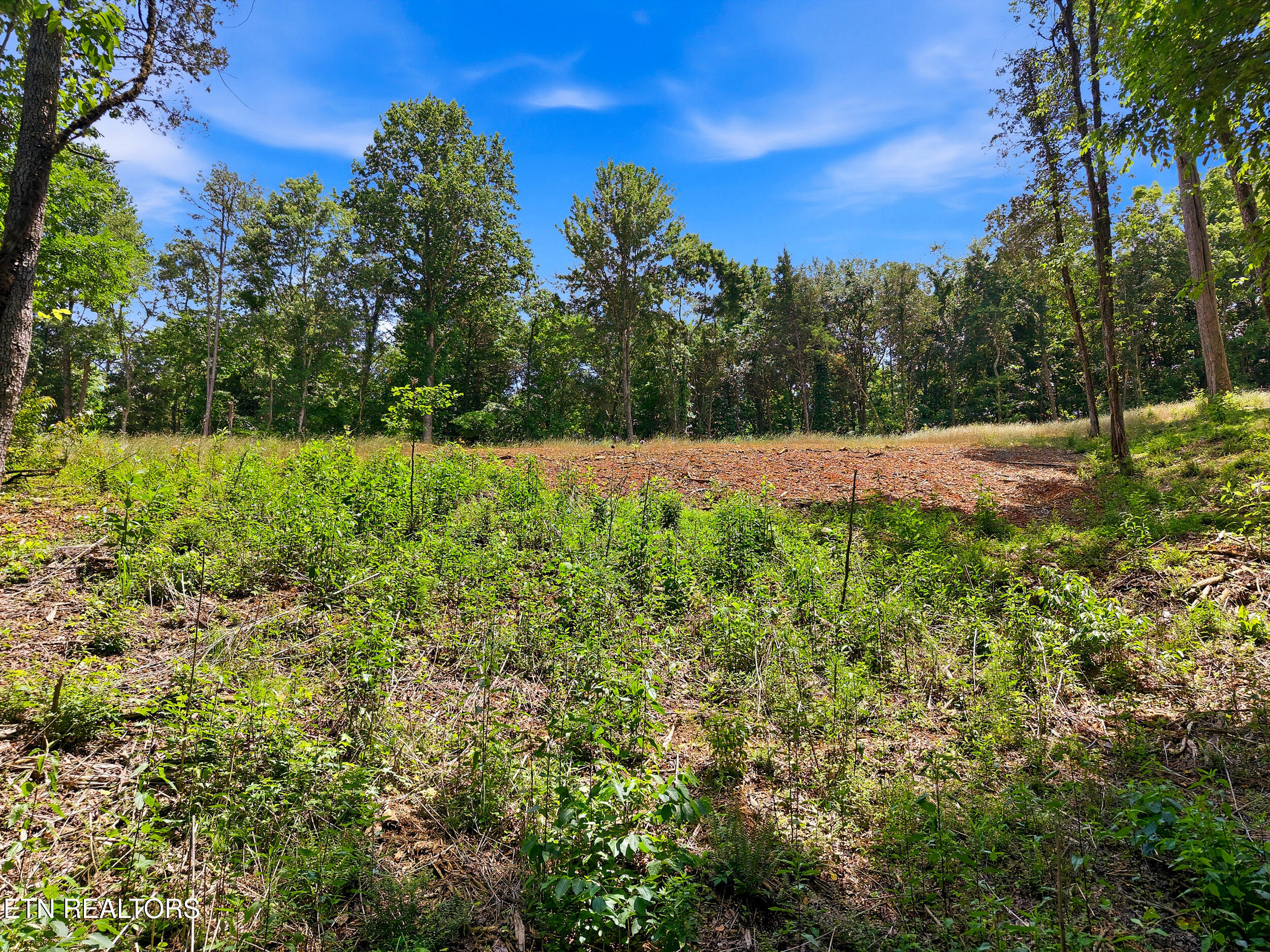 147 Summit View Drive Loudon TN 37774