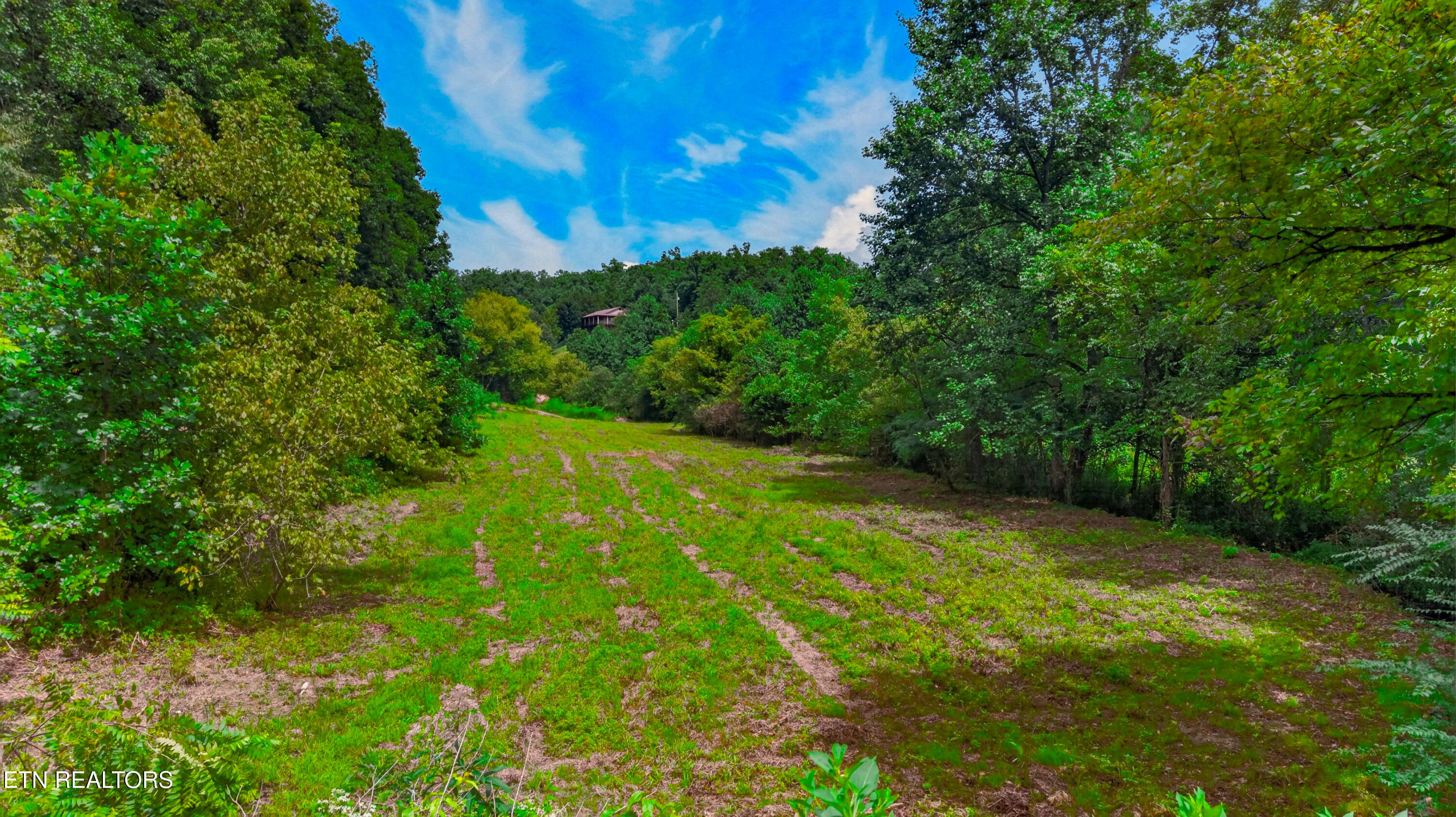 Jones Cove Road Sevierville TN 37876