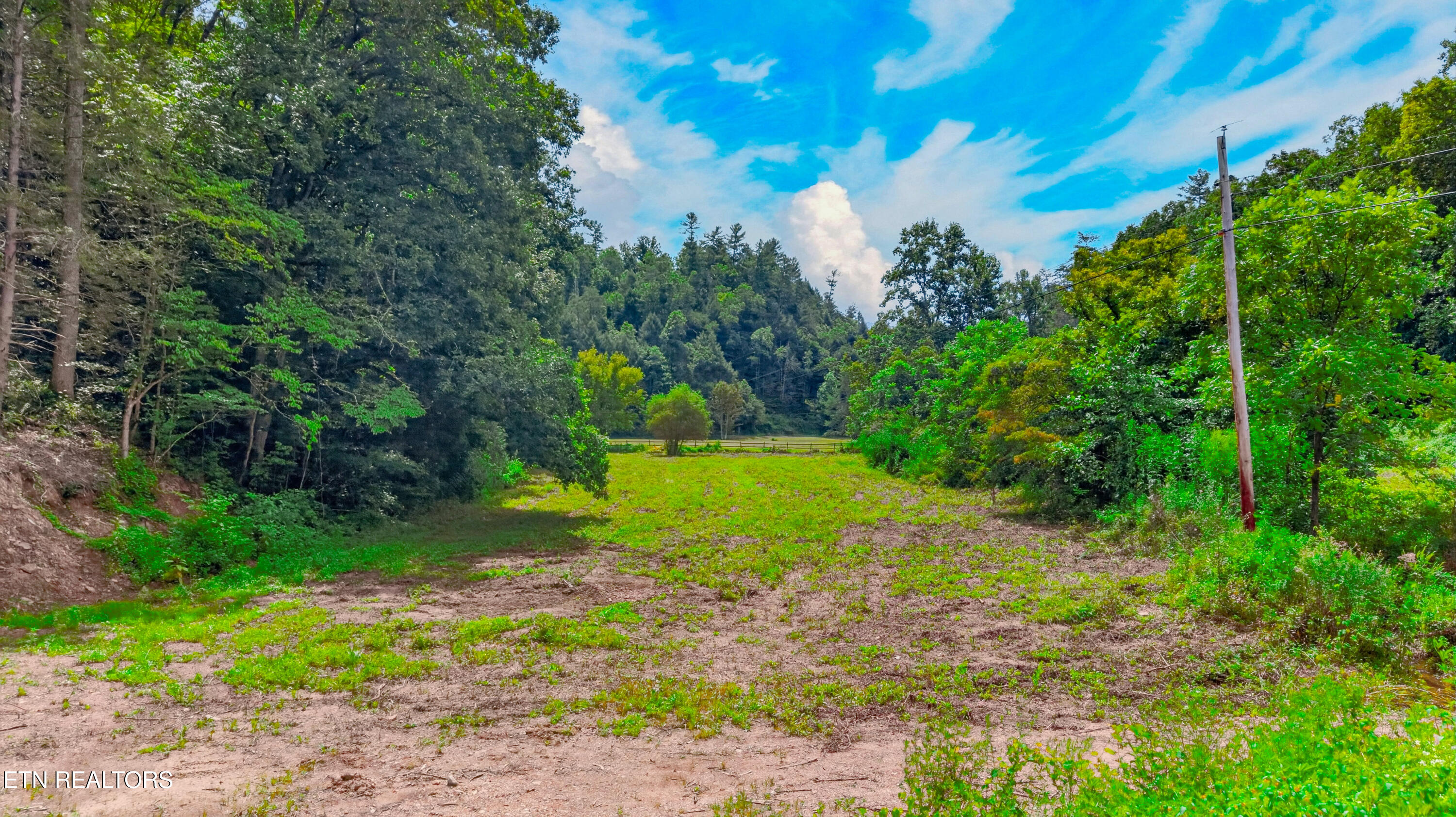 Jones Cove Road Sevierville TN 37876