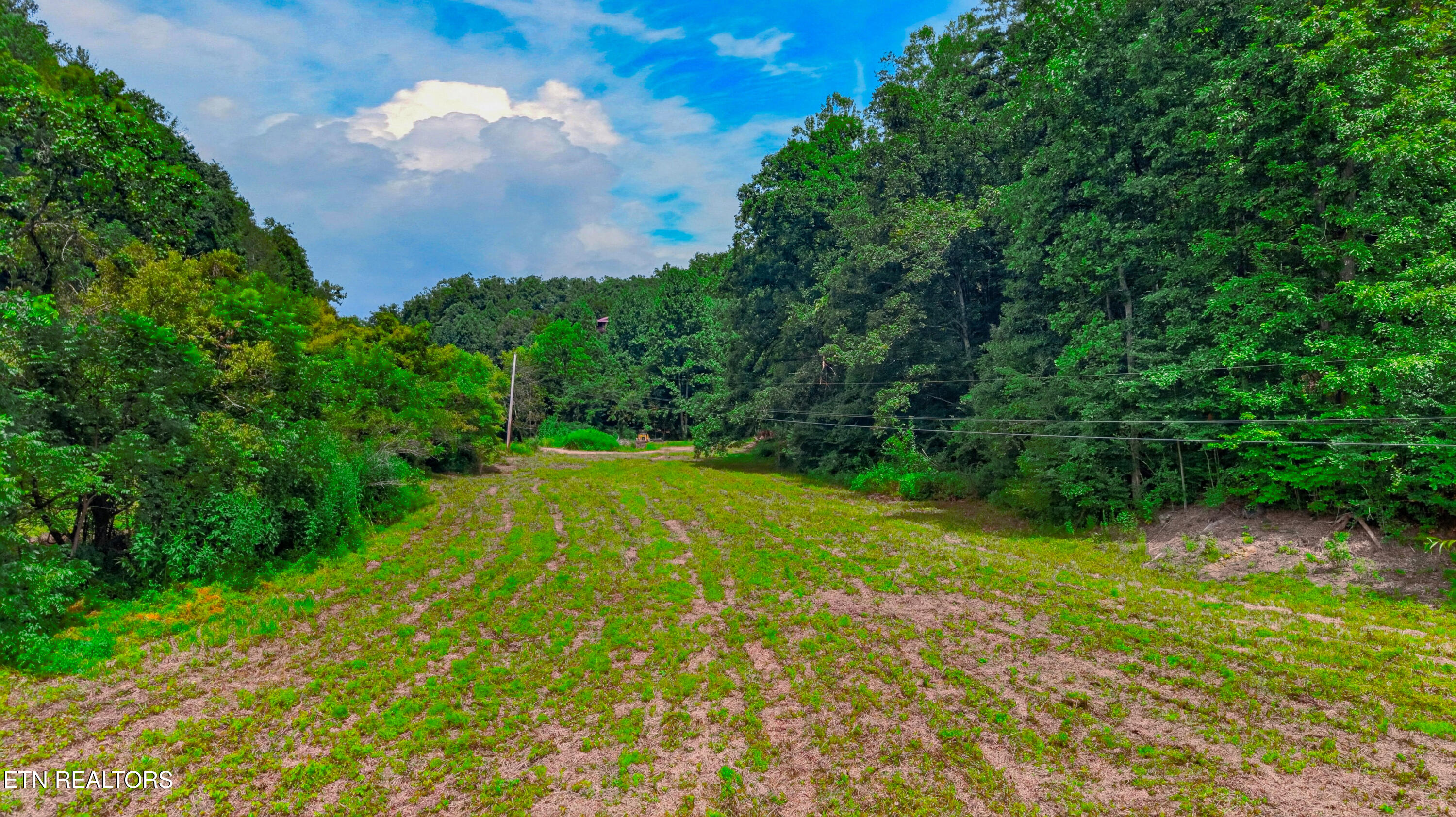 Jones Cove Road Sevierville TN 37876
