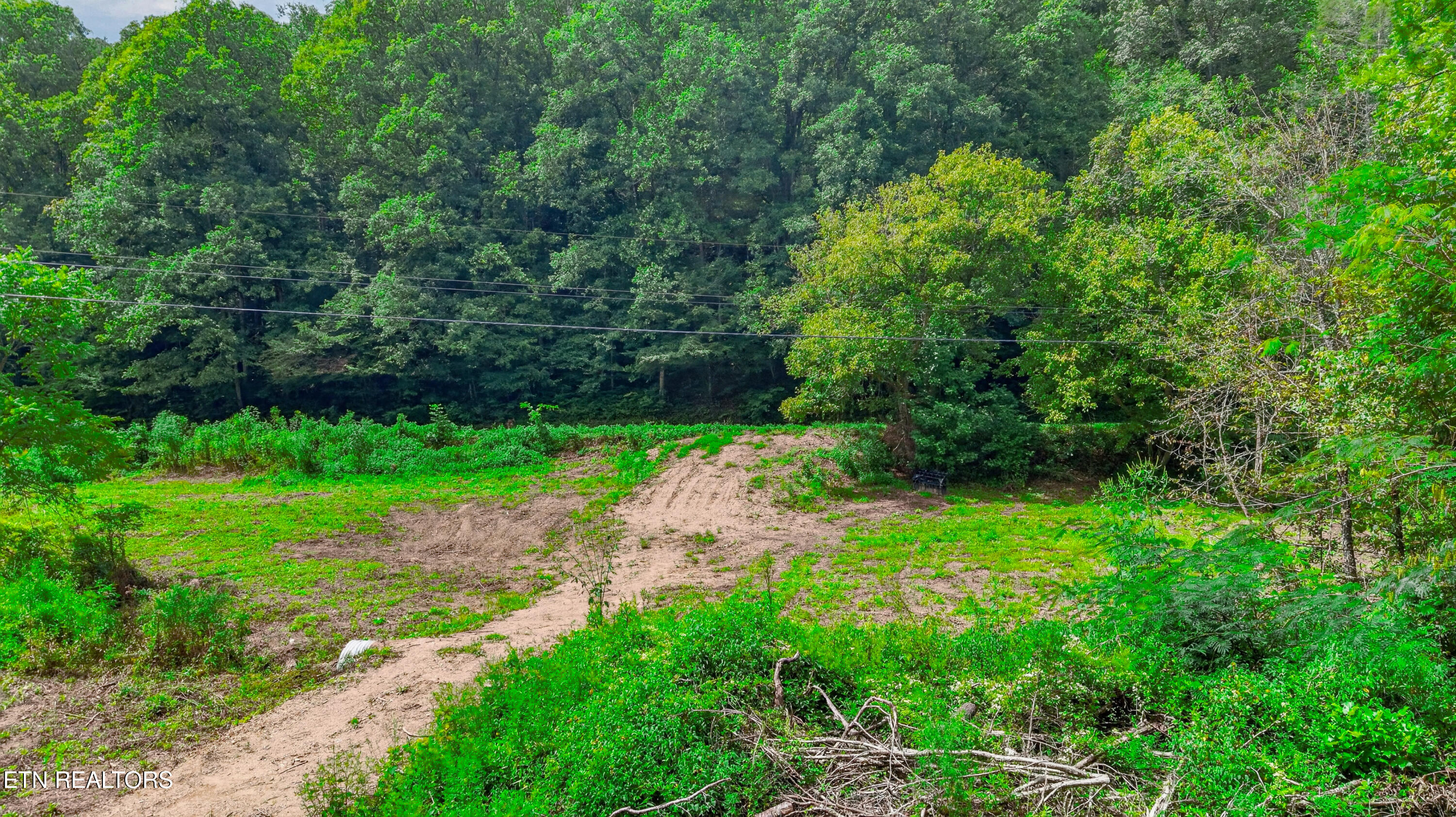 Jones Cove Road Sevierville TN 37876