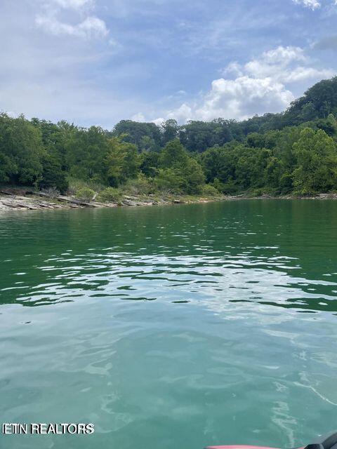 Lot 585 Russell Brothers Road Sharps Chapel TN 37866