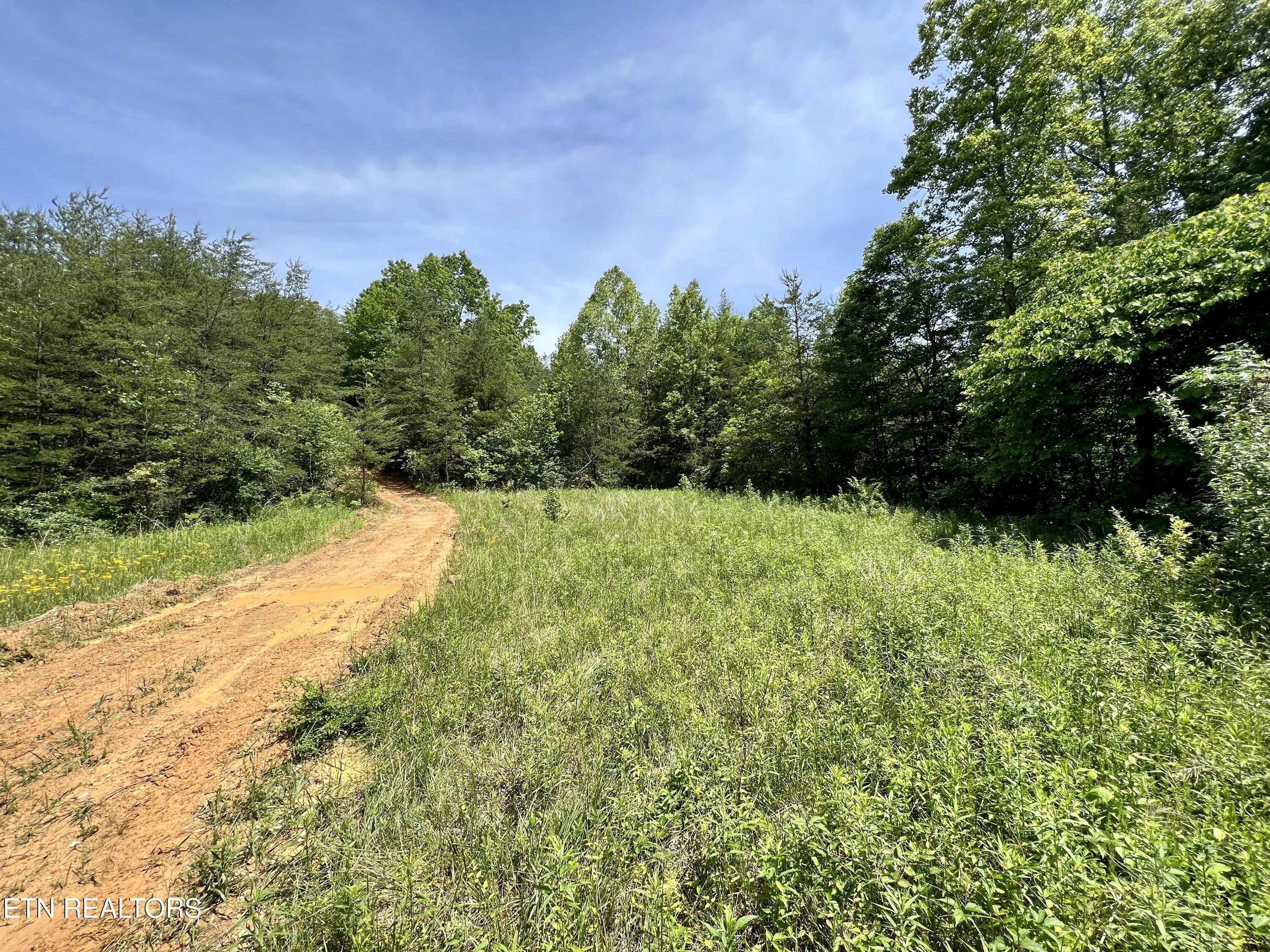 0 Melvin Hollow Road Pioneer TN 37847