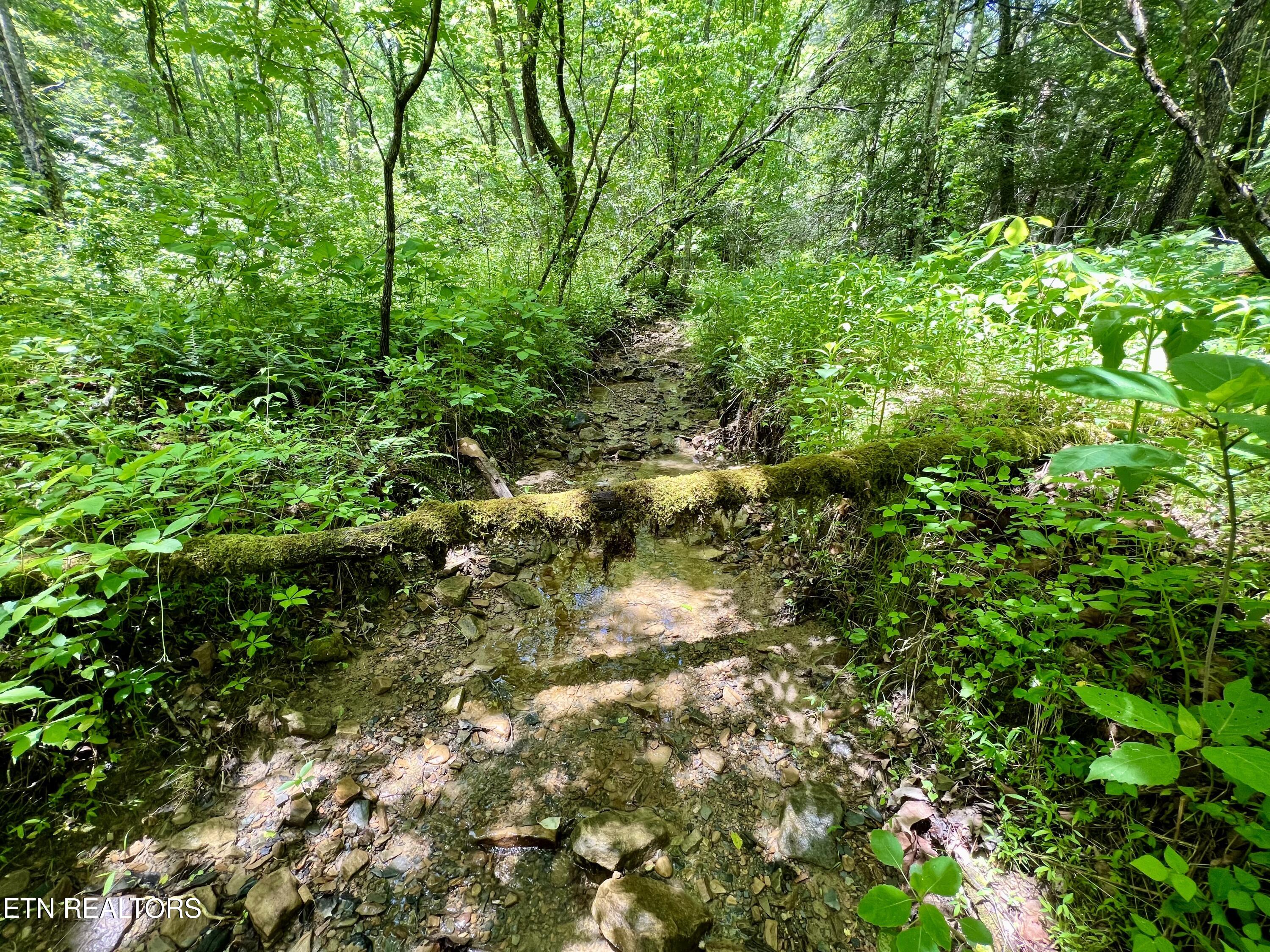 0 Melvin Hollow Road Pioneer TN 37847
