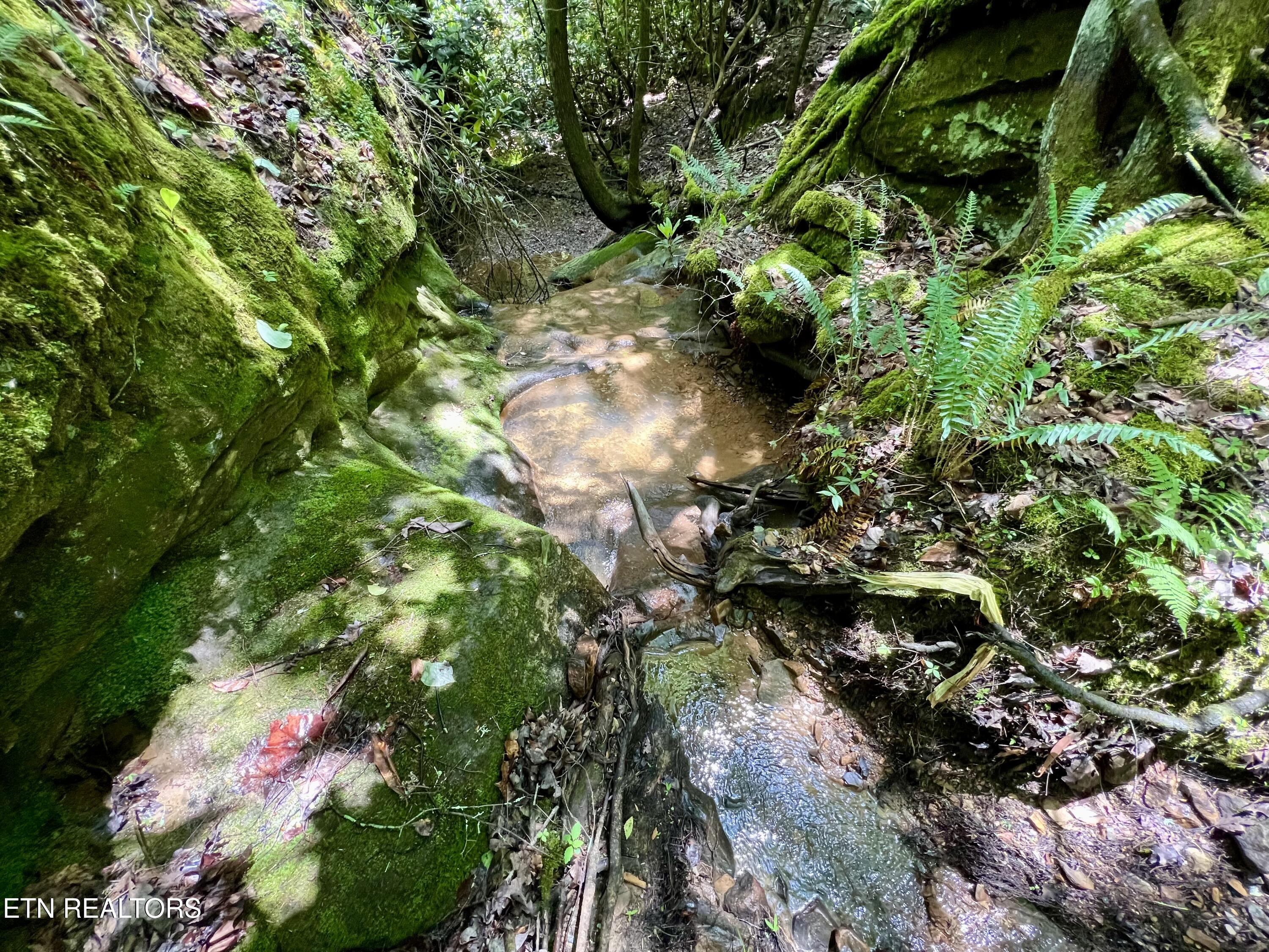 0 Melvin Hollow Road Pioneer TN 37847