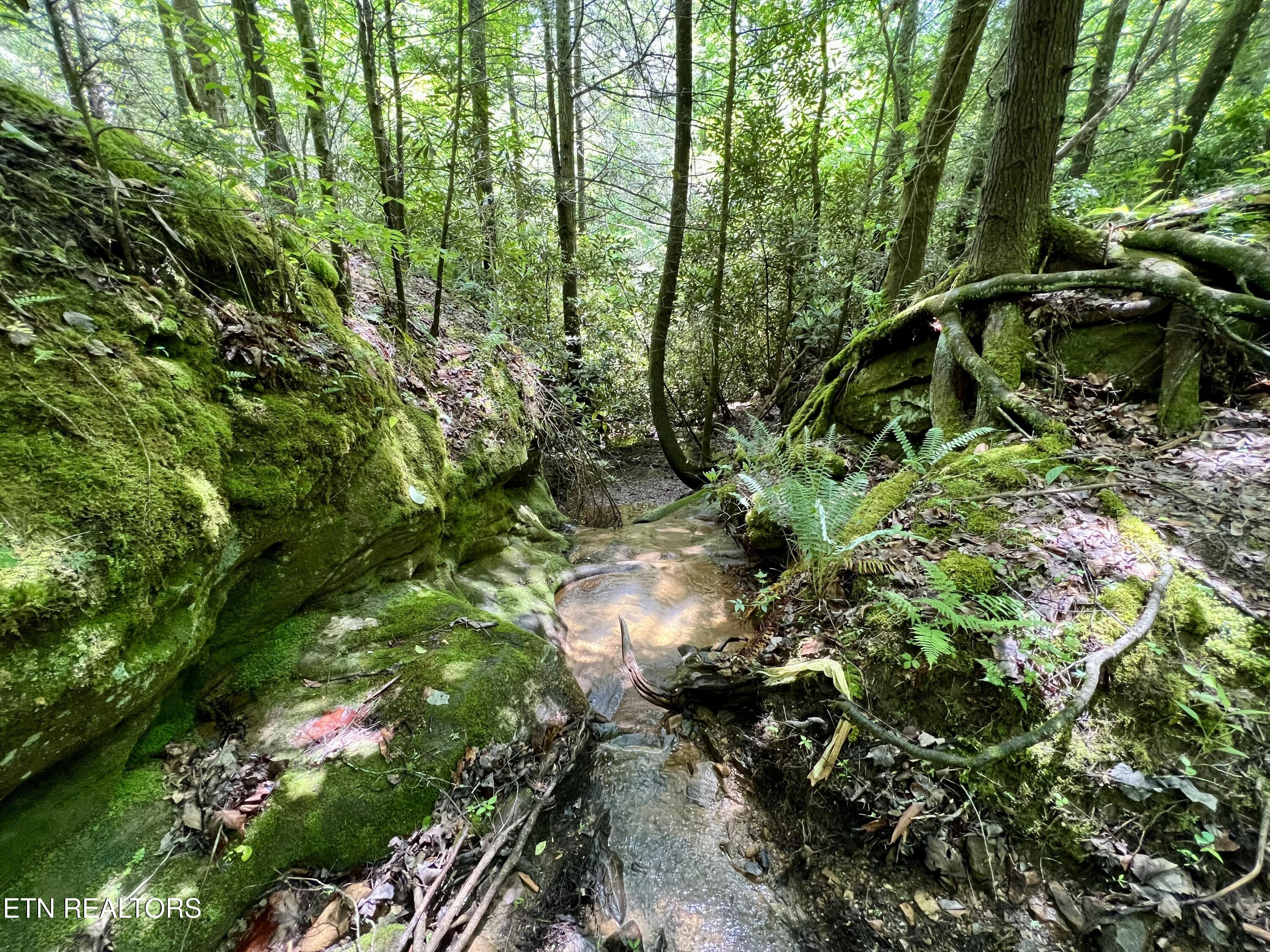 0 Melvin Hollow Road Pioneer TN 37847