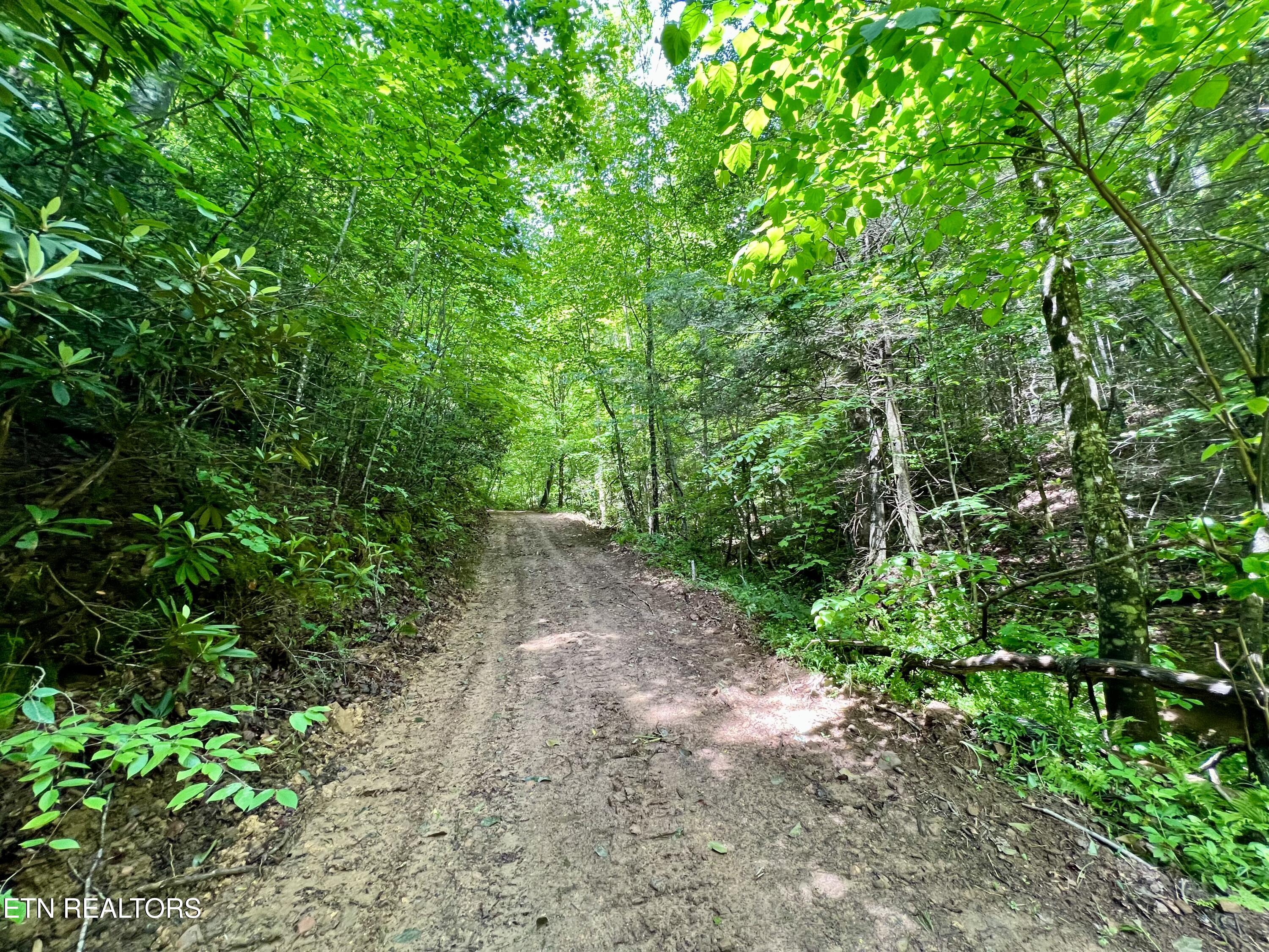 0 Melvin Hollow Road Pioneer TN 37847