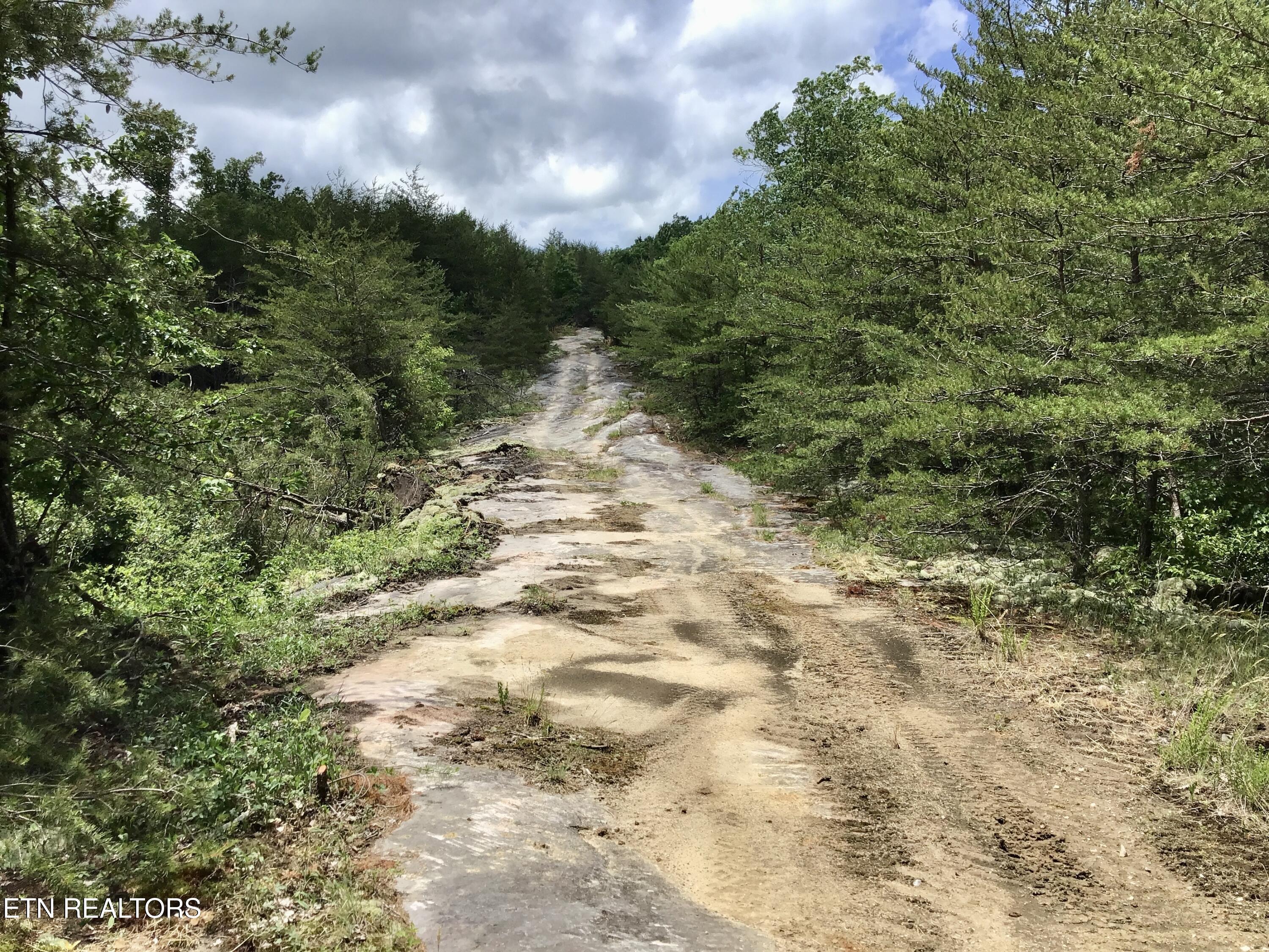 0 Melvin Hollow Road Pioneer TN 37847