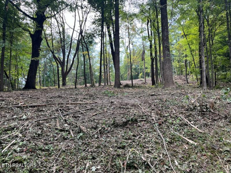 W Hemlock Street Lafollette TN 37766