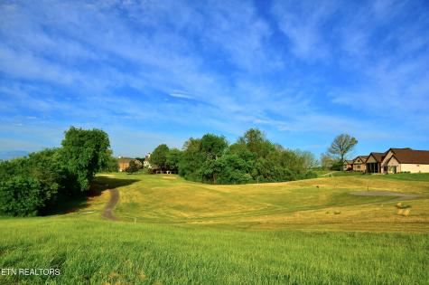 185 Killdeer Drive Vonore TN 37885