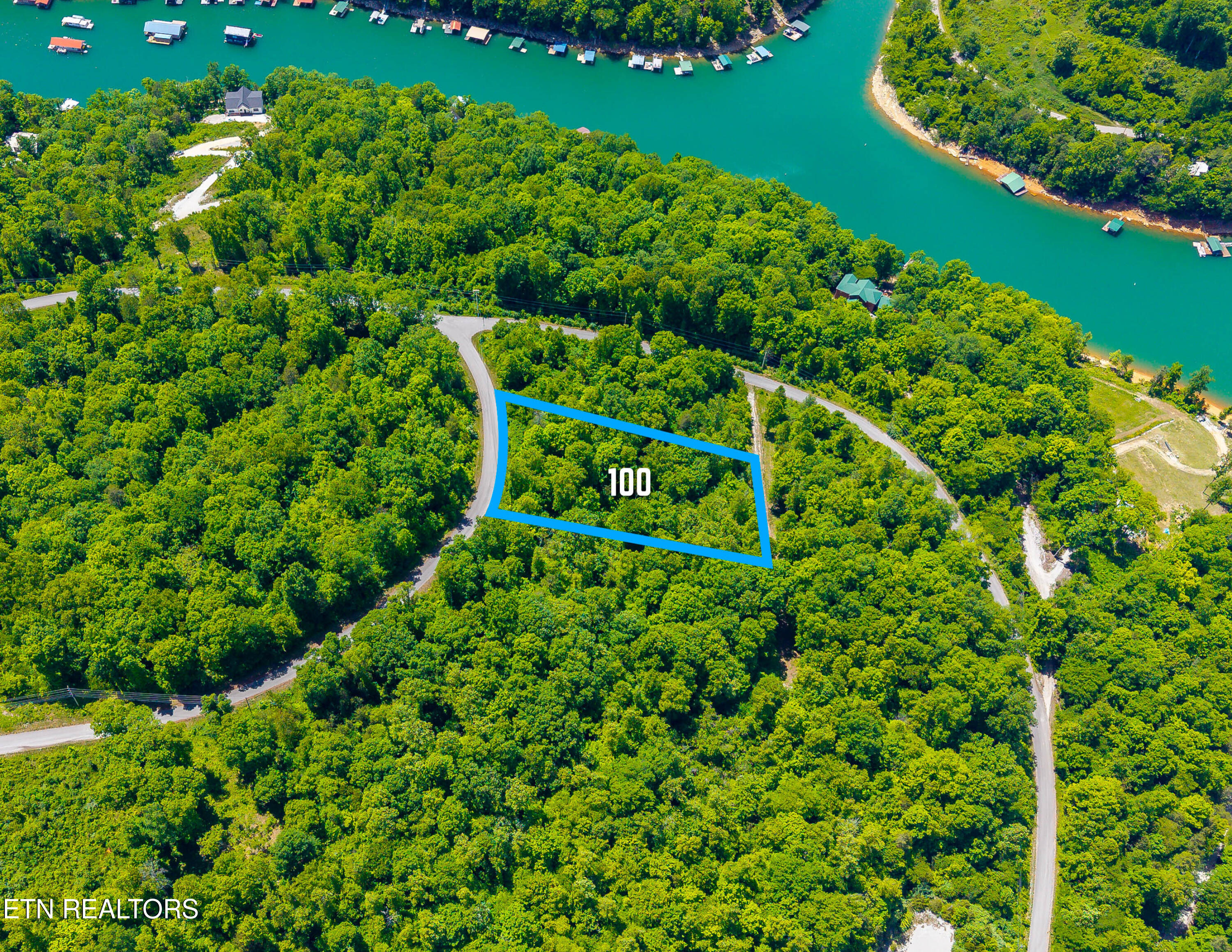 Lot 100 Saddleridge Drive Speedwell TN 37870