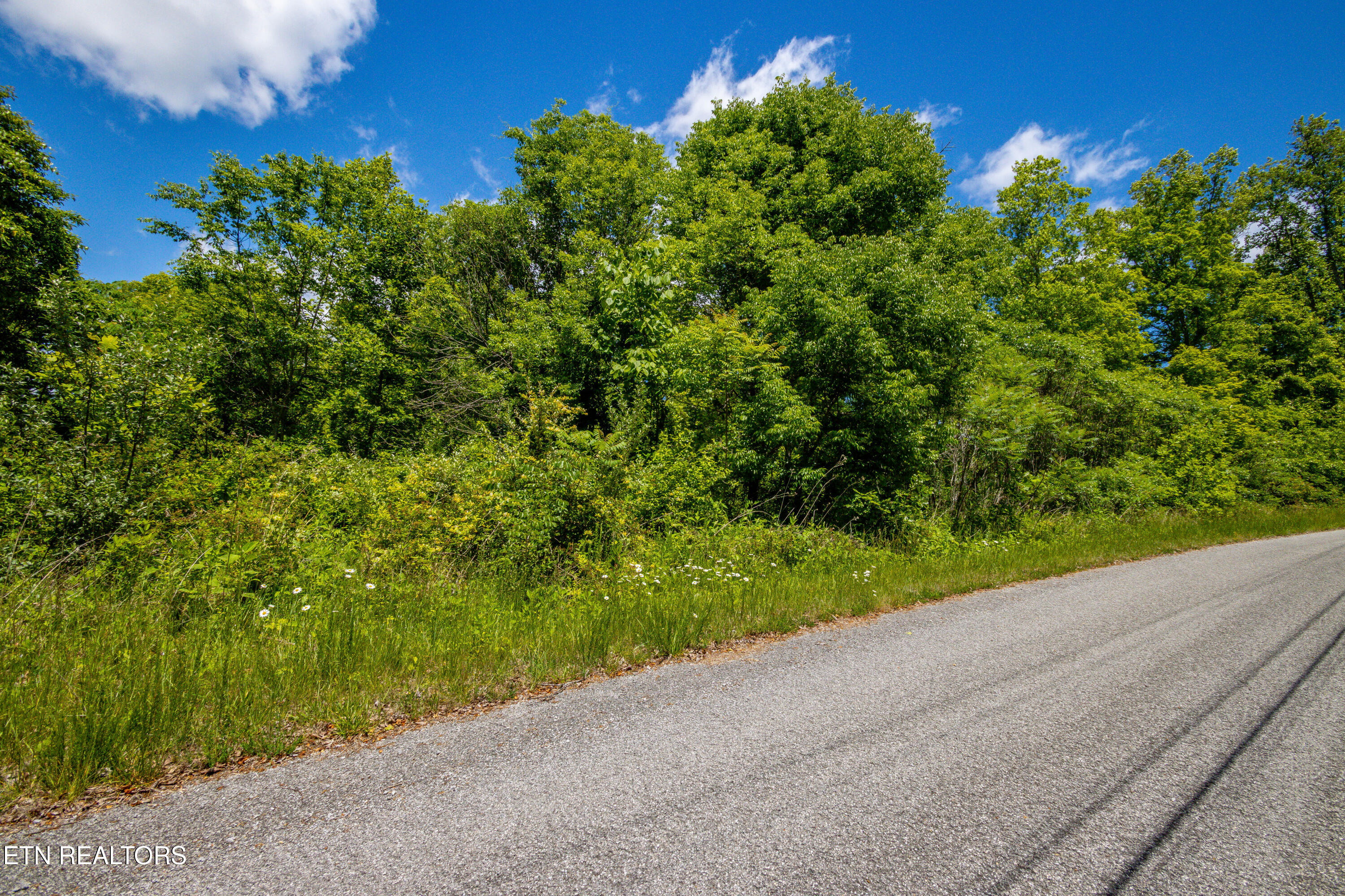 Lot 100 Saddleridge Drive Speedwell TN 37870