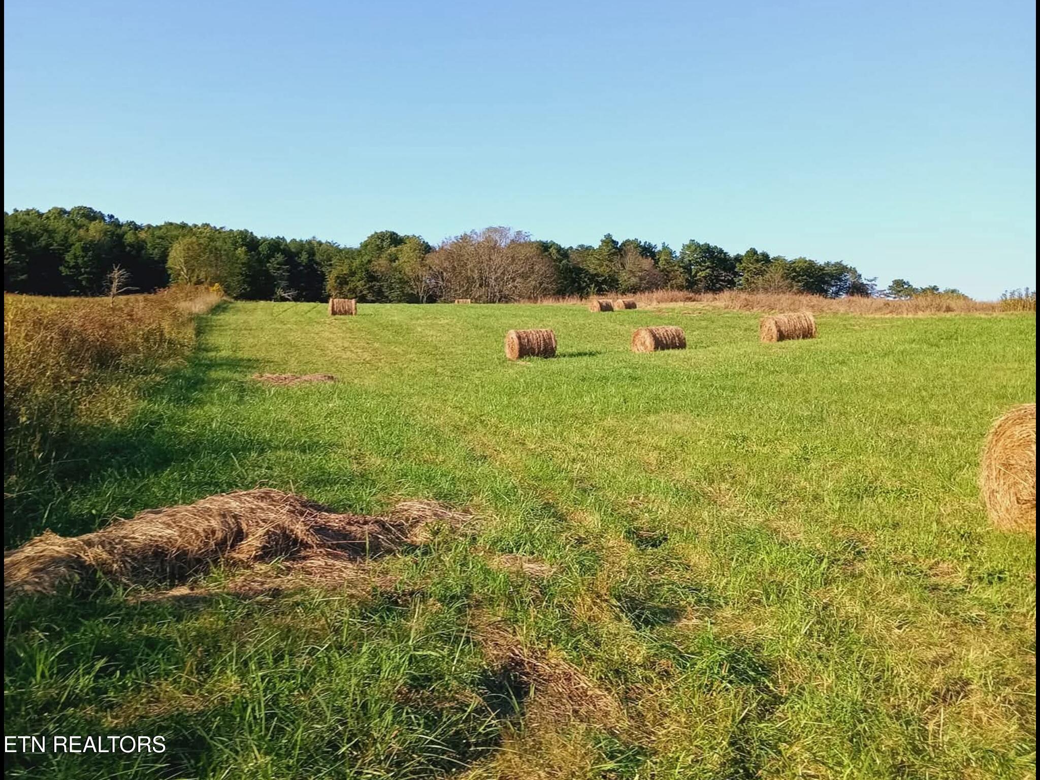 436 Thorngrove Pike Kodak TN 37764