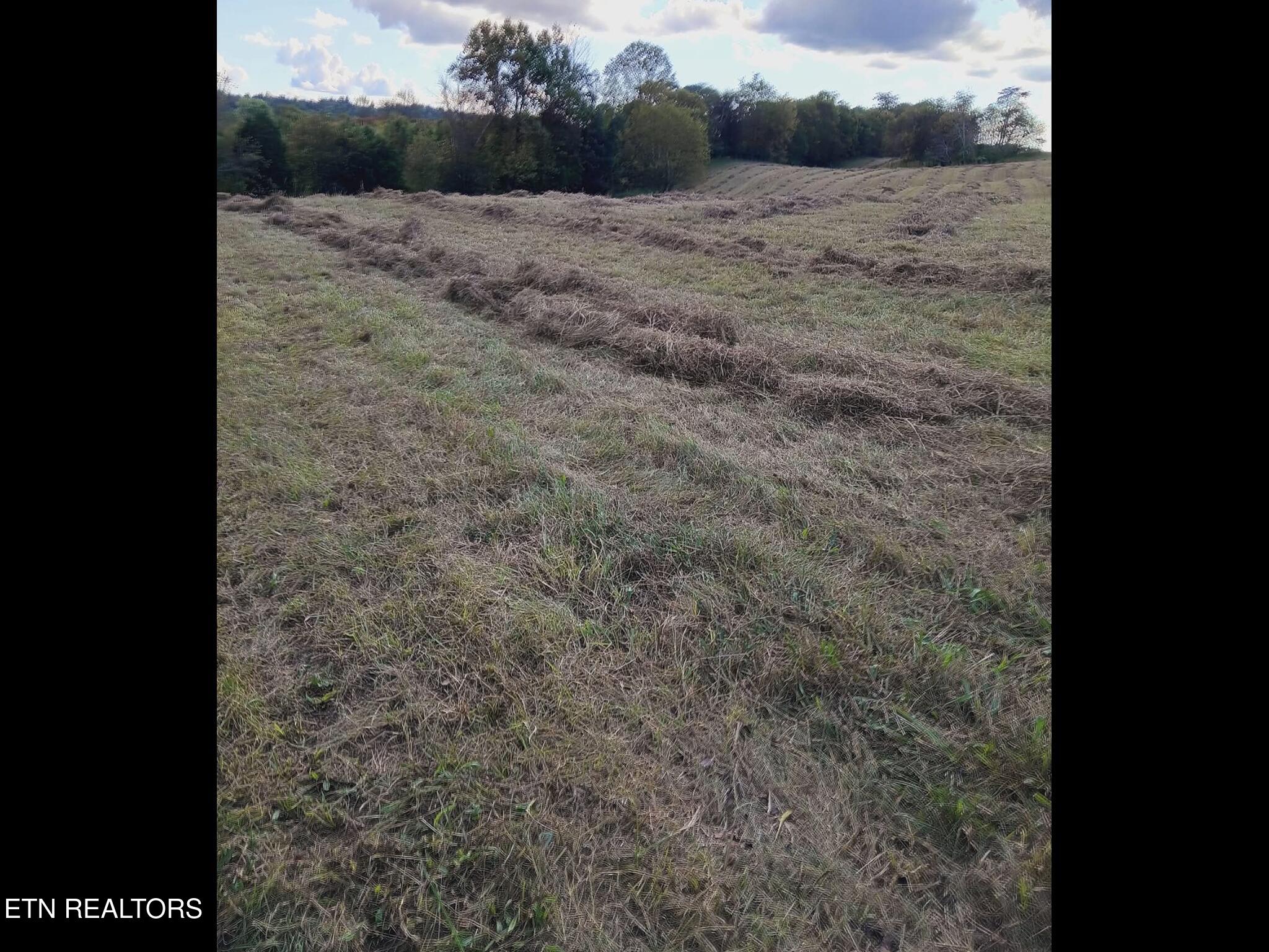 436 Thorngrove Pike Kodak TN 37764
