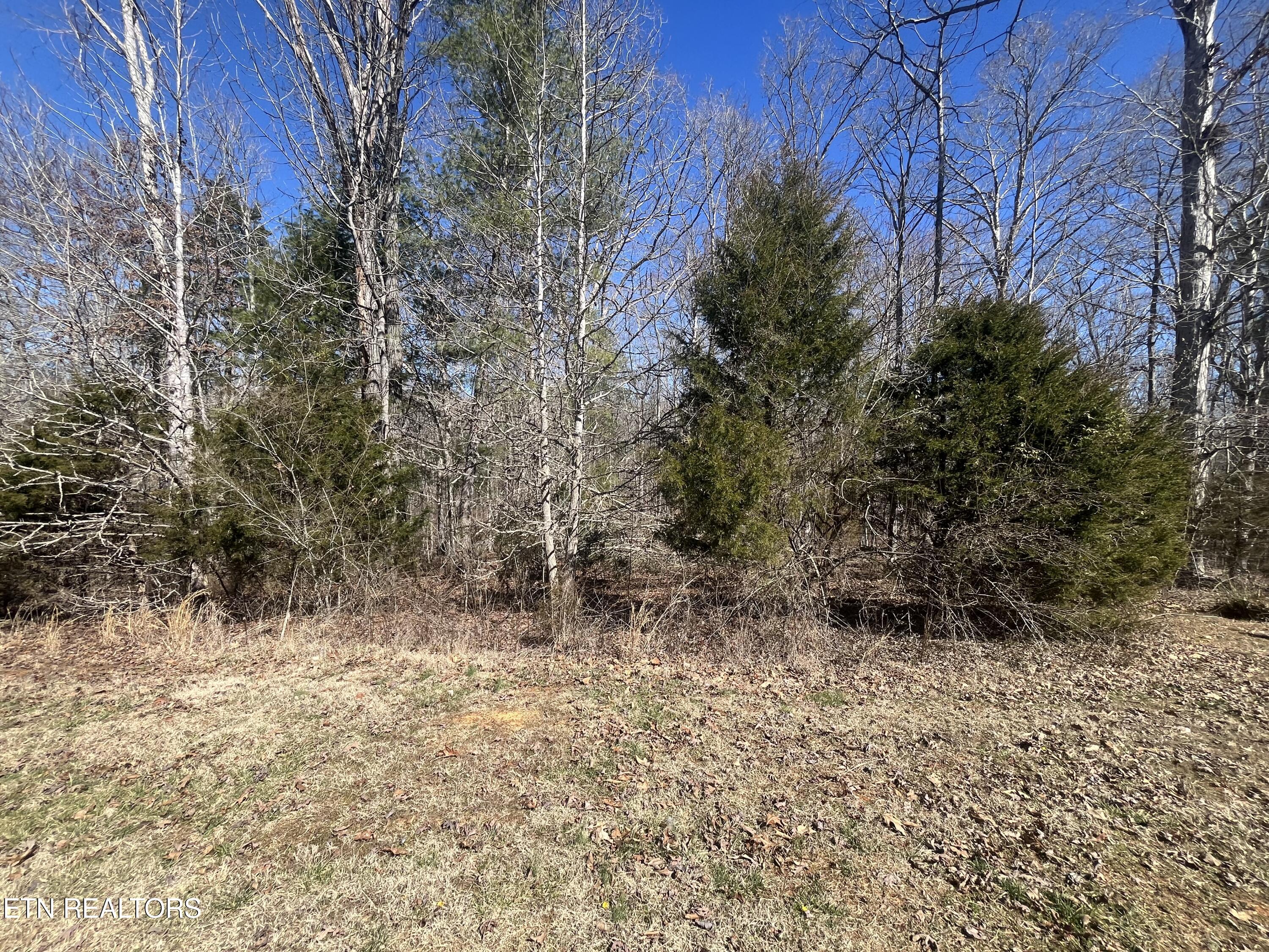 209 Appaloosa Trail Rockwood TN 37854