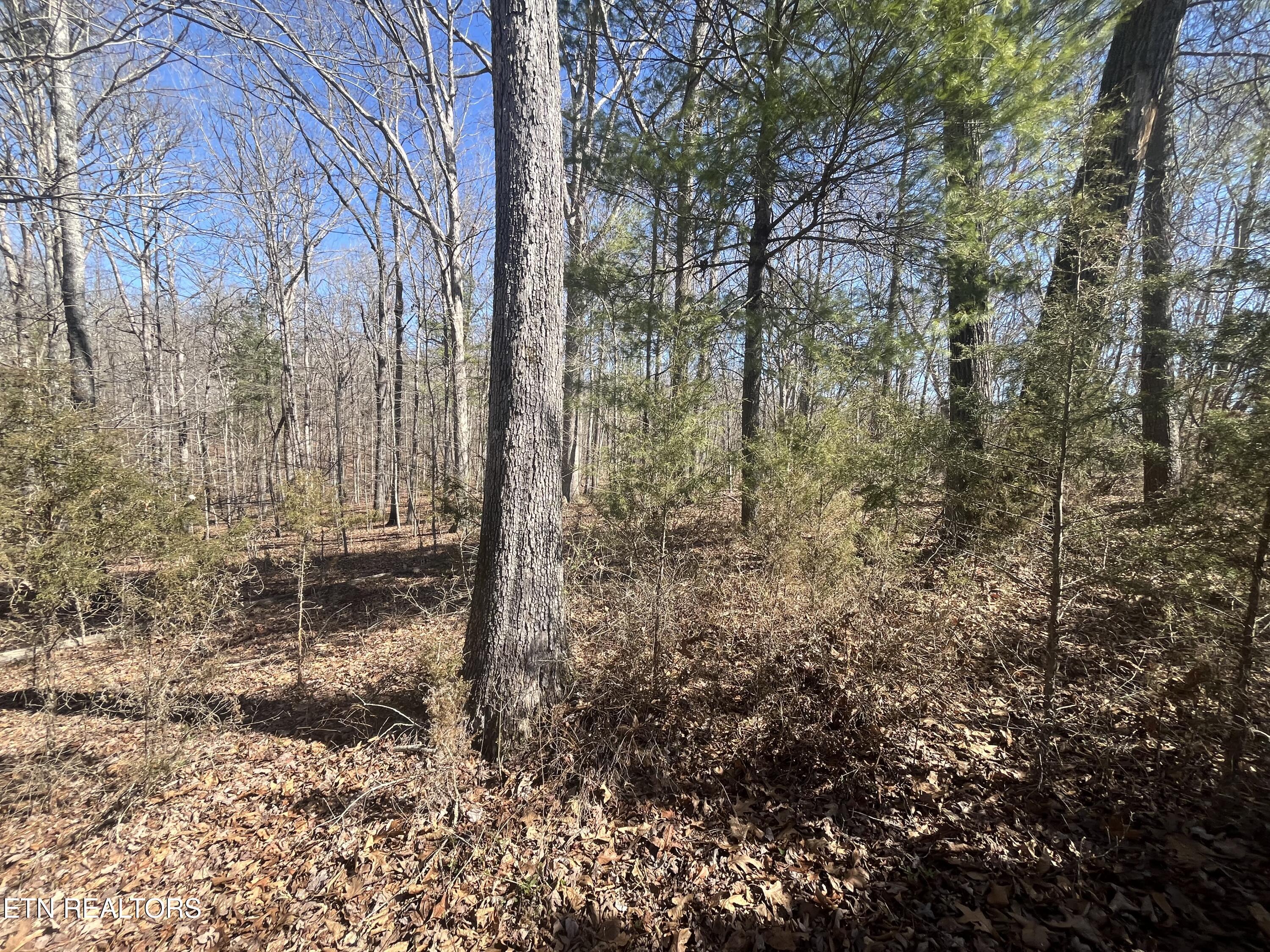 209 Appaloosa Trail Rockwood TN 37854