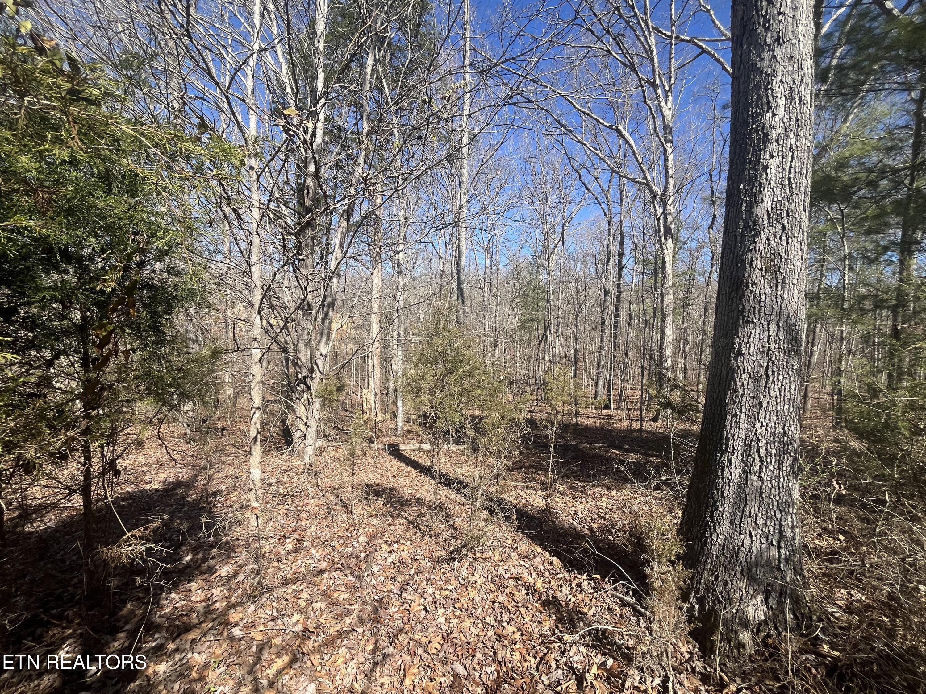 209 Appaloosa Trail Rockwood TN 37854