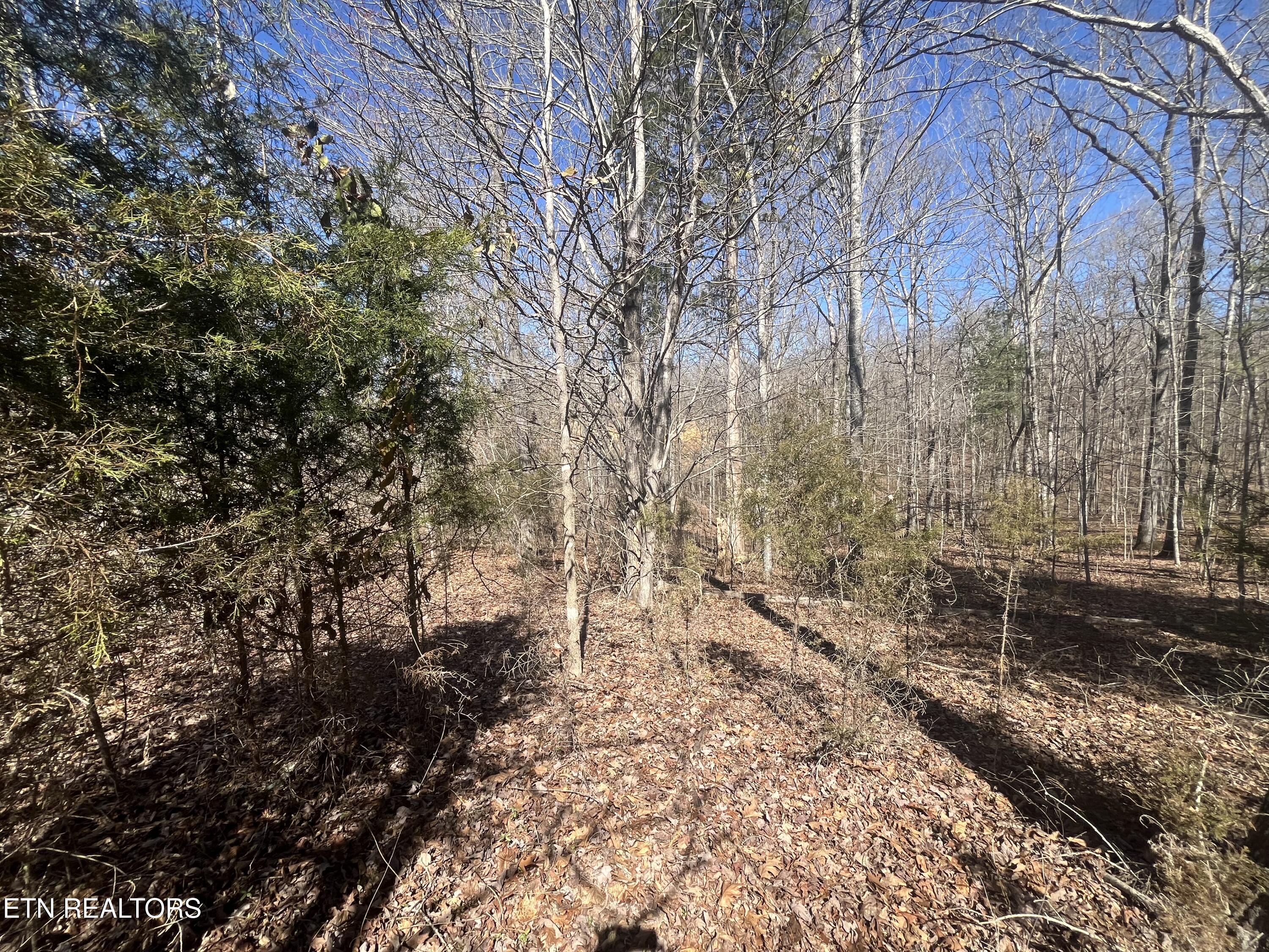 209 Appaloosa Trail Rockwood TN 37854