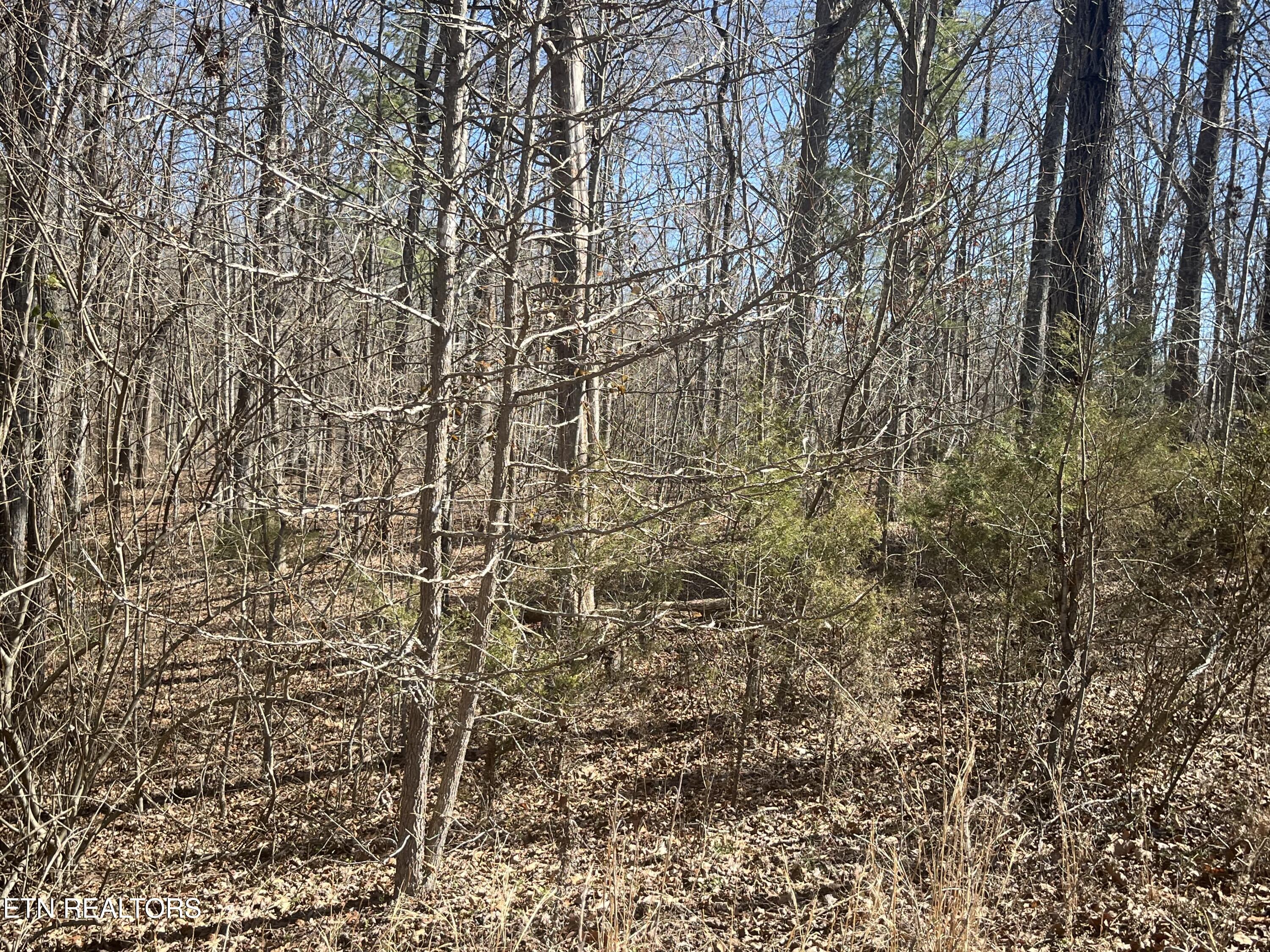 209 Appaloosa Trail Rockwood TN 37854