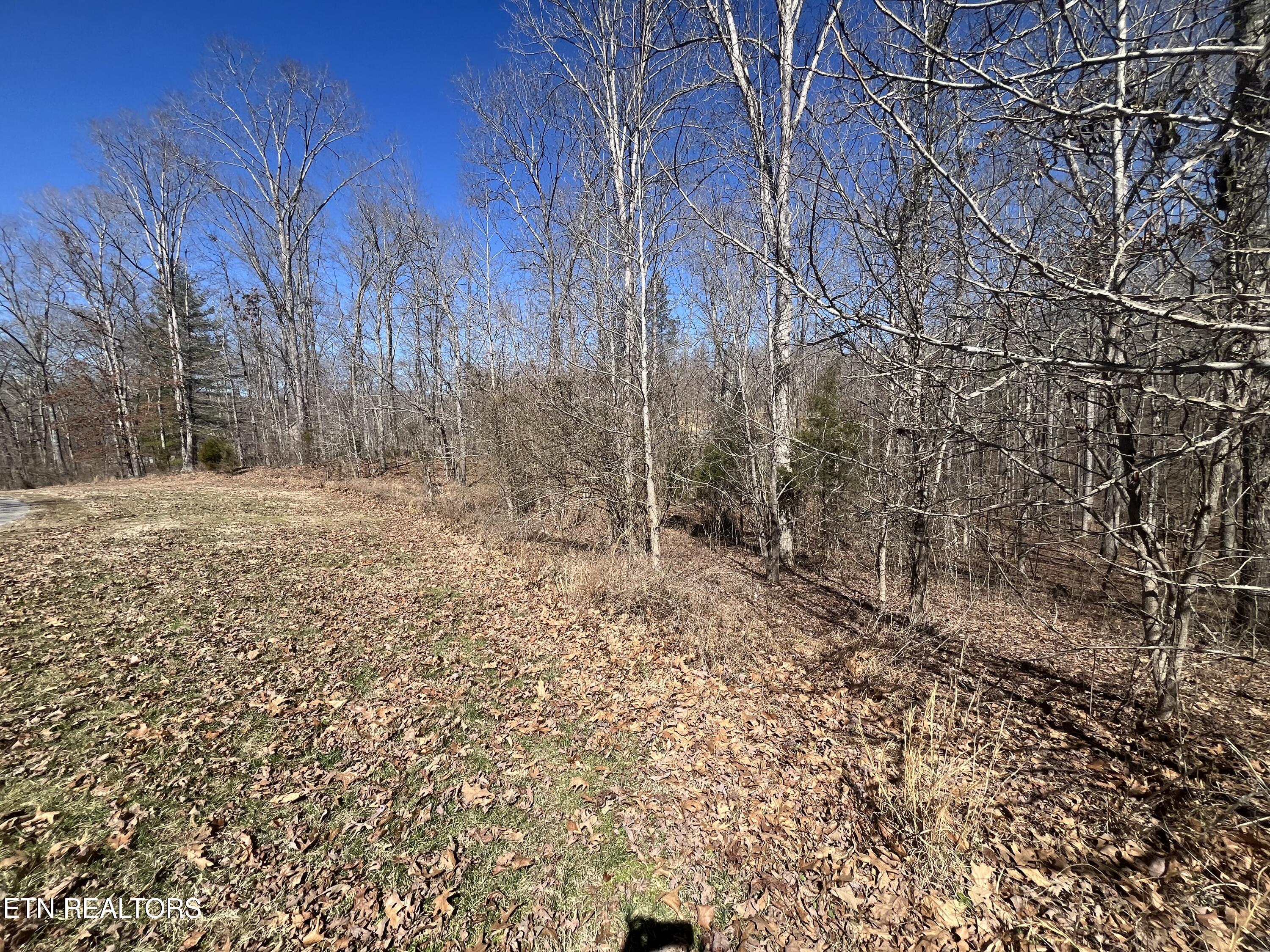 209 Appaloosa Trail Rockwood TN 37854