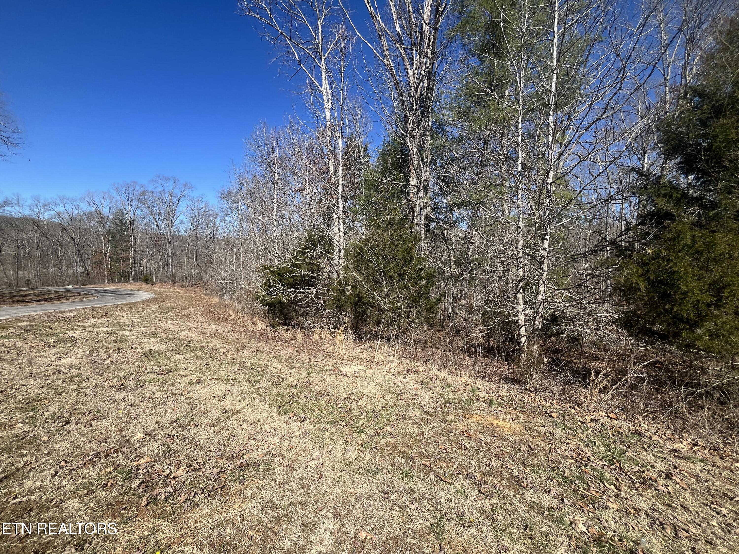 209 Appaloosa Trail Rockwood TN 37854