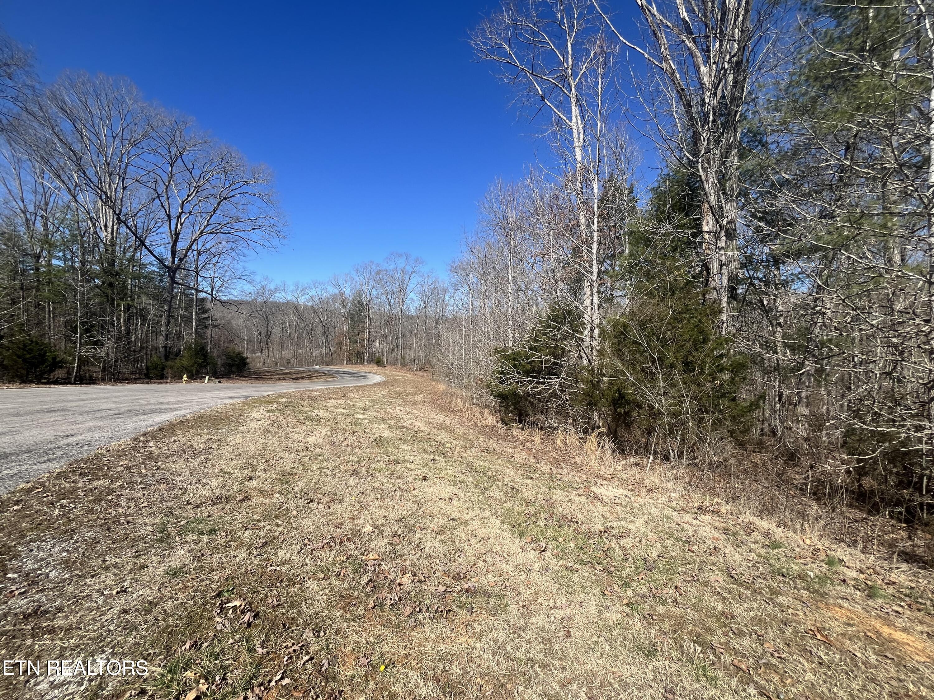 209 Appaloosa Trail Rockwood TN 37854