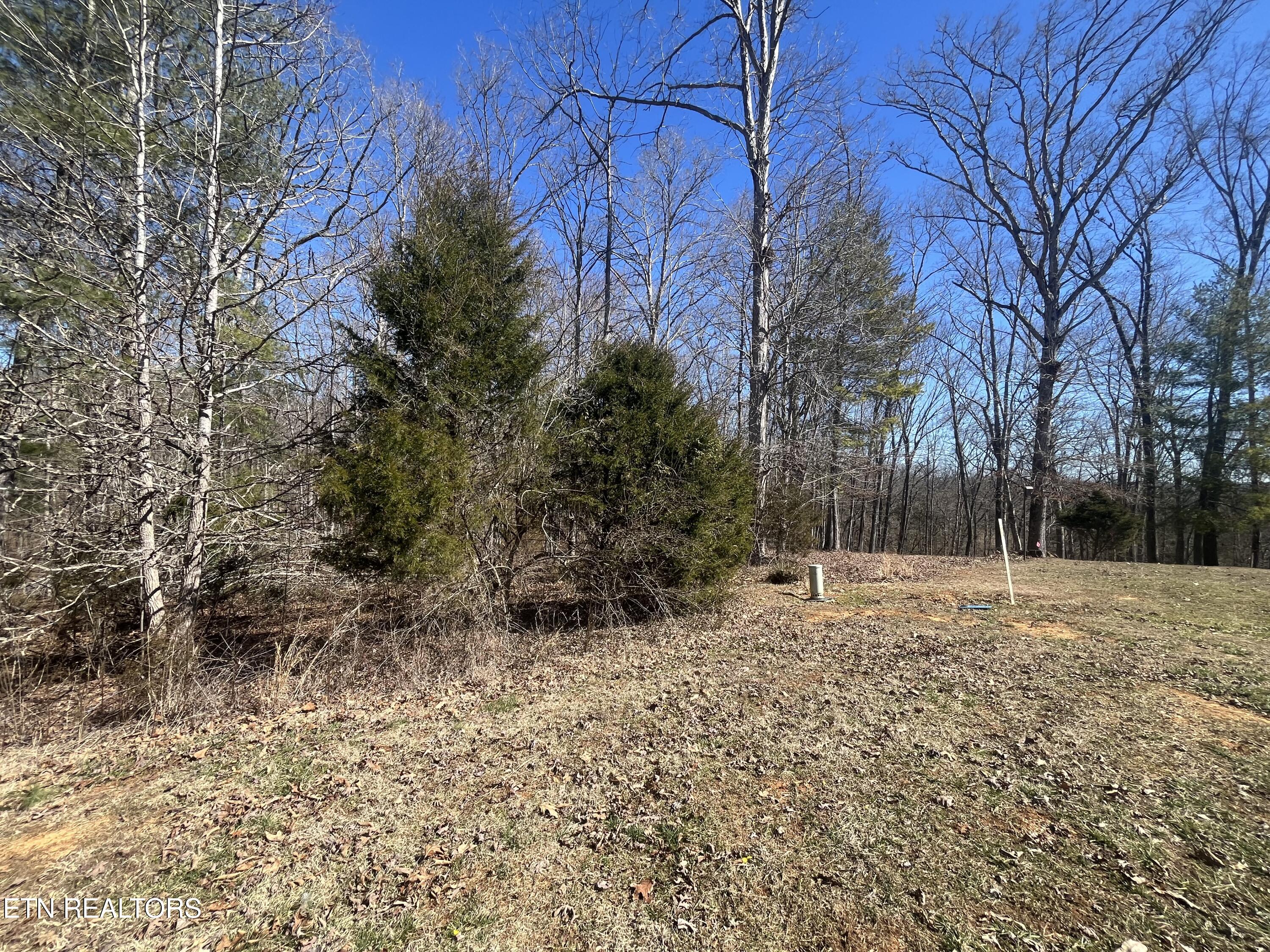209 Appaloosa Trail Rockwood TN 37854