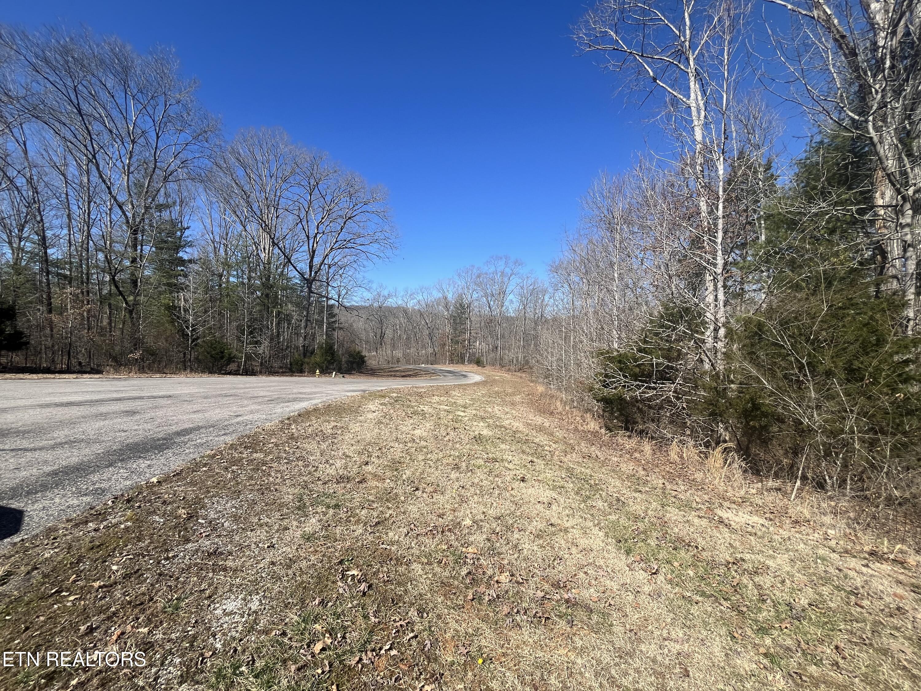 209 Appaloosa Trail Rockwood TN 37854