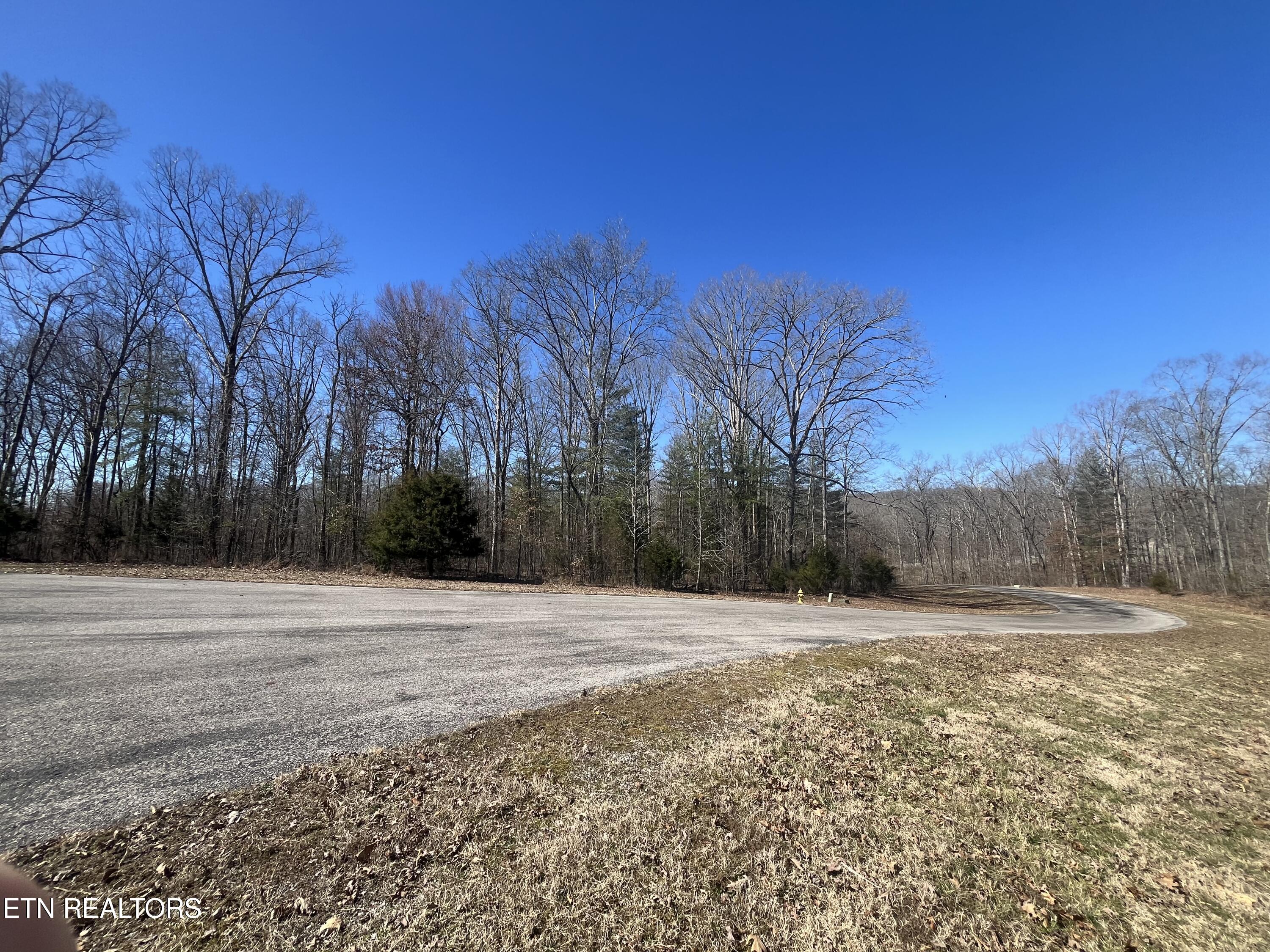 209 Appaloosa Trail Rockwood TN 37854