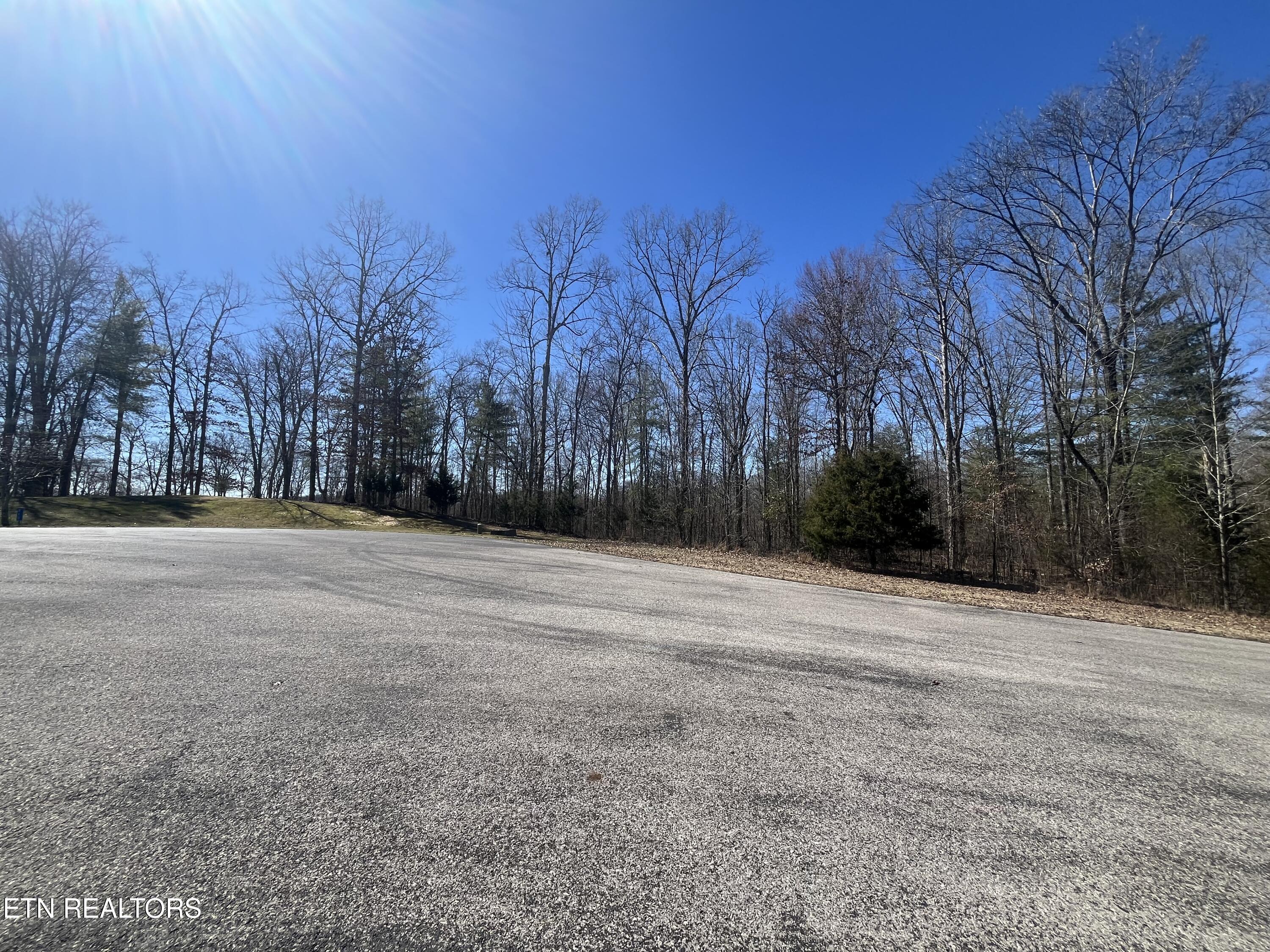 209 Appaloosa Trail Rockwood TN 37854