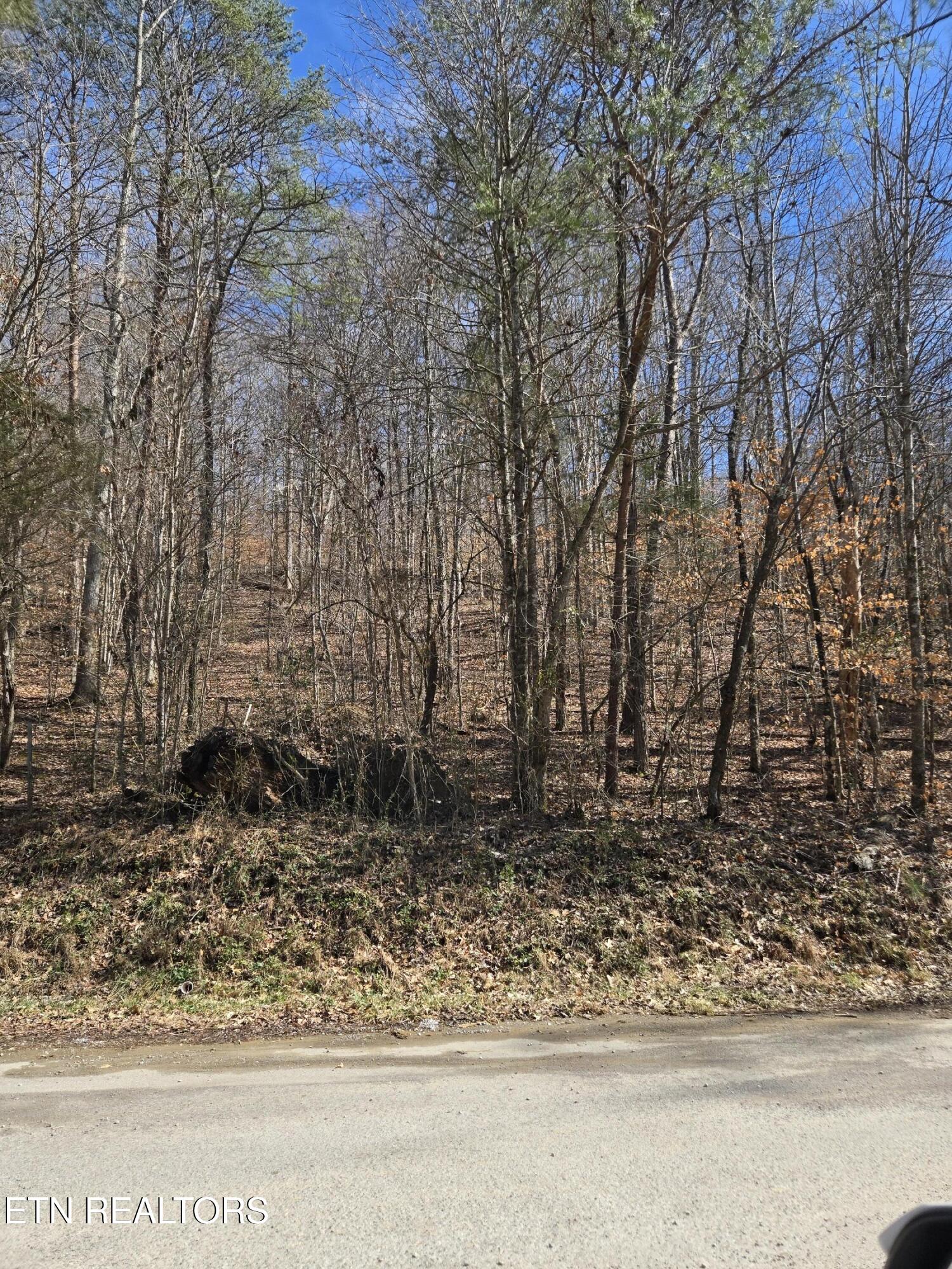 204 Archer Road Luttrell TN 37779