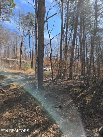204 Archer Road Luttrell TN 37779