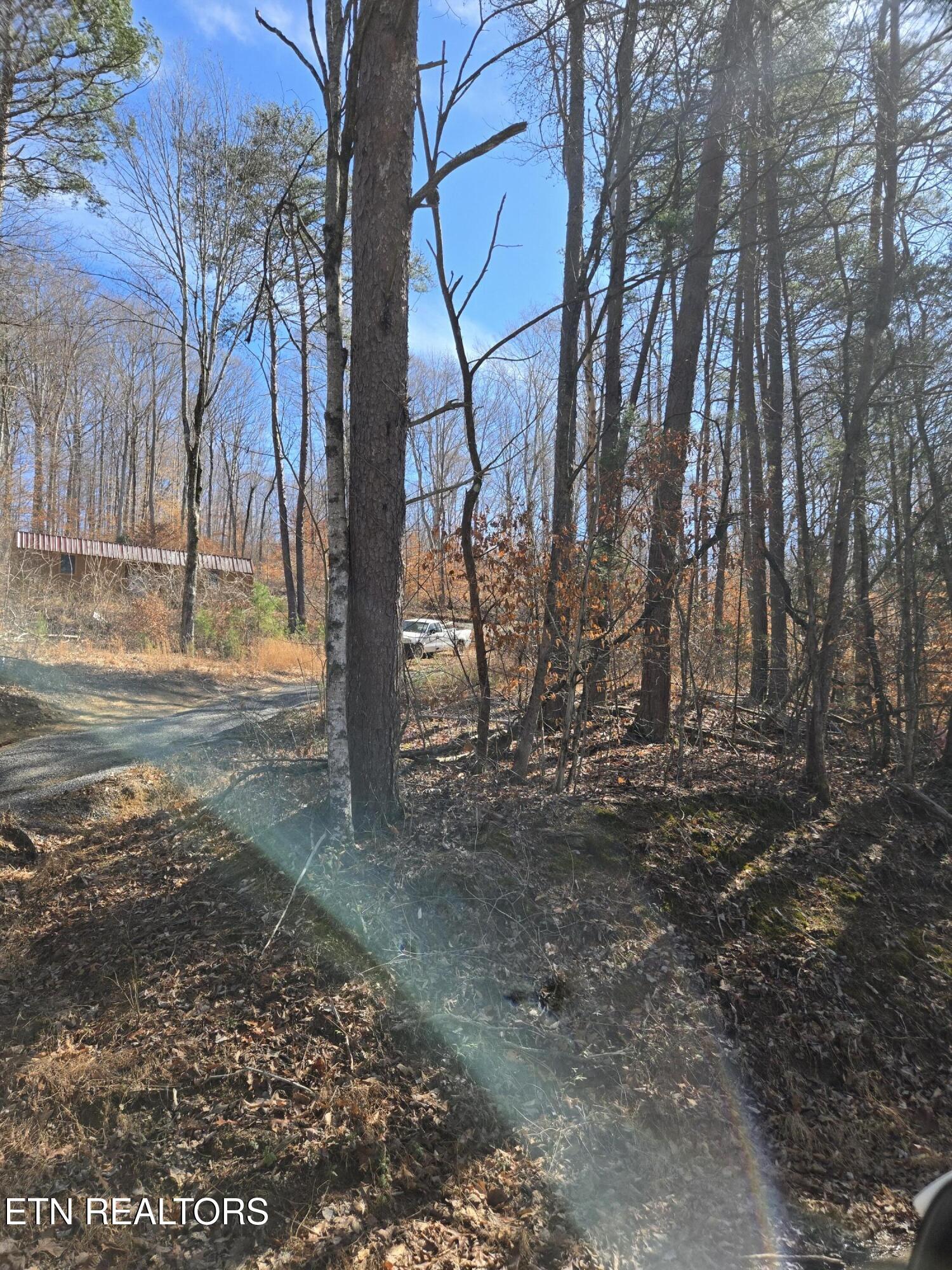 204 Archer Road Luttrell TN 37779