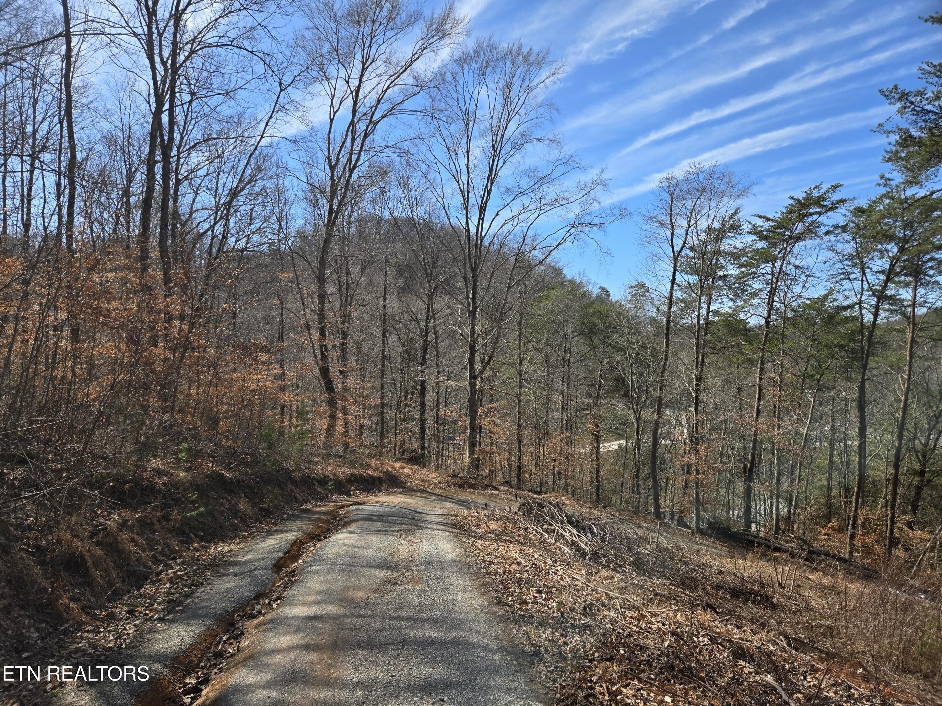 204 Archer Road Luttrell TN 37779