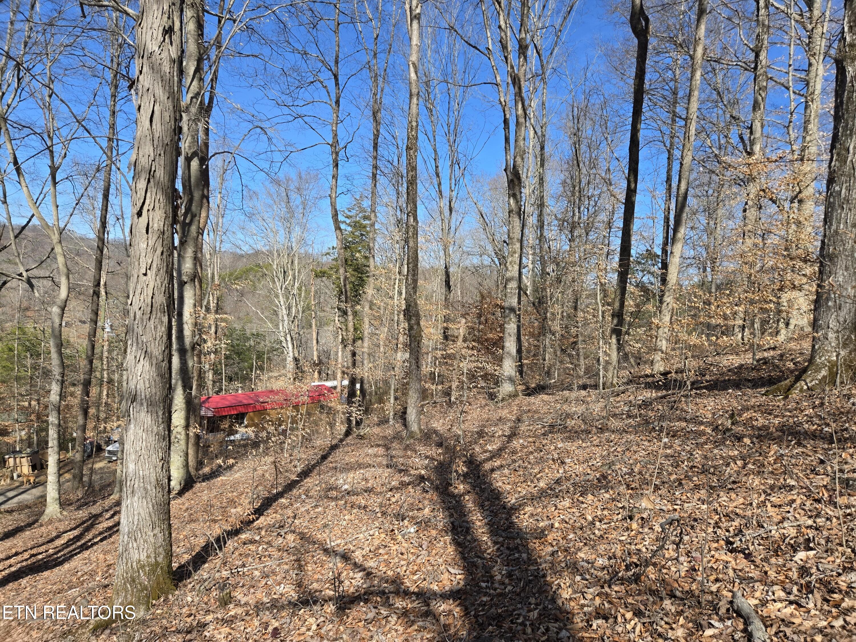204 Archer Road Luttrell TN 37779
