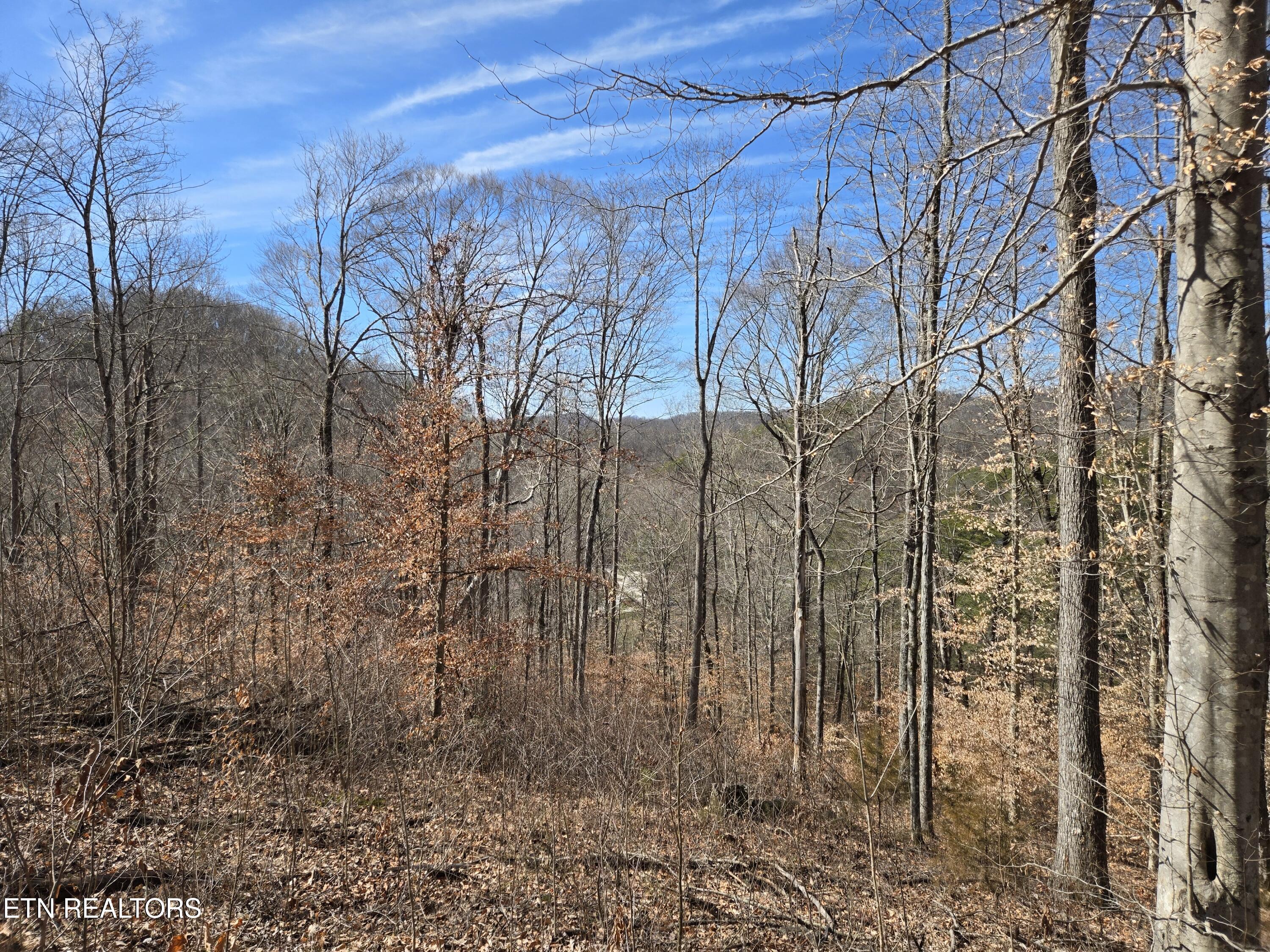 204 Archer Road Luttrell TN 37779