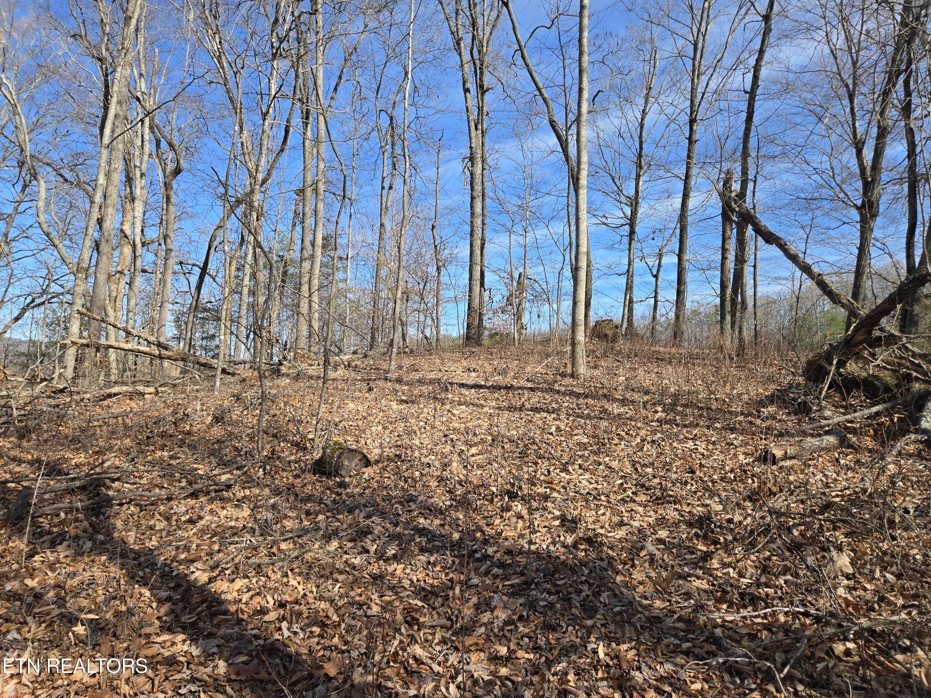 204 Archer Road Luttrell TN 37779