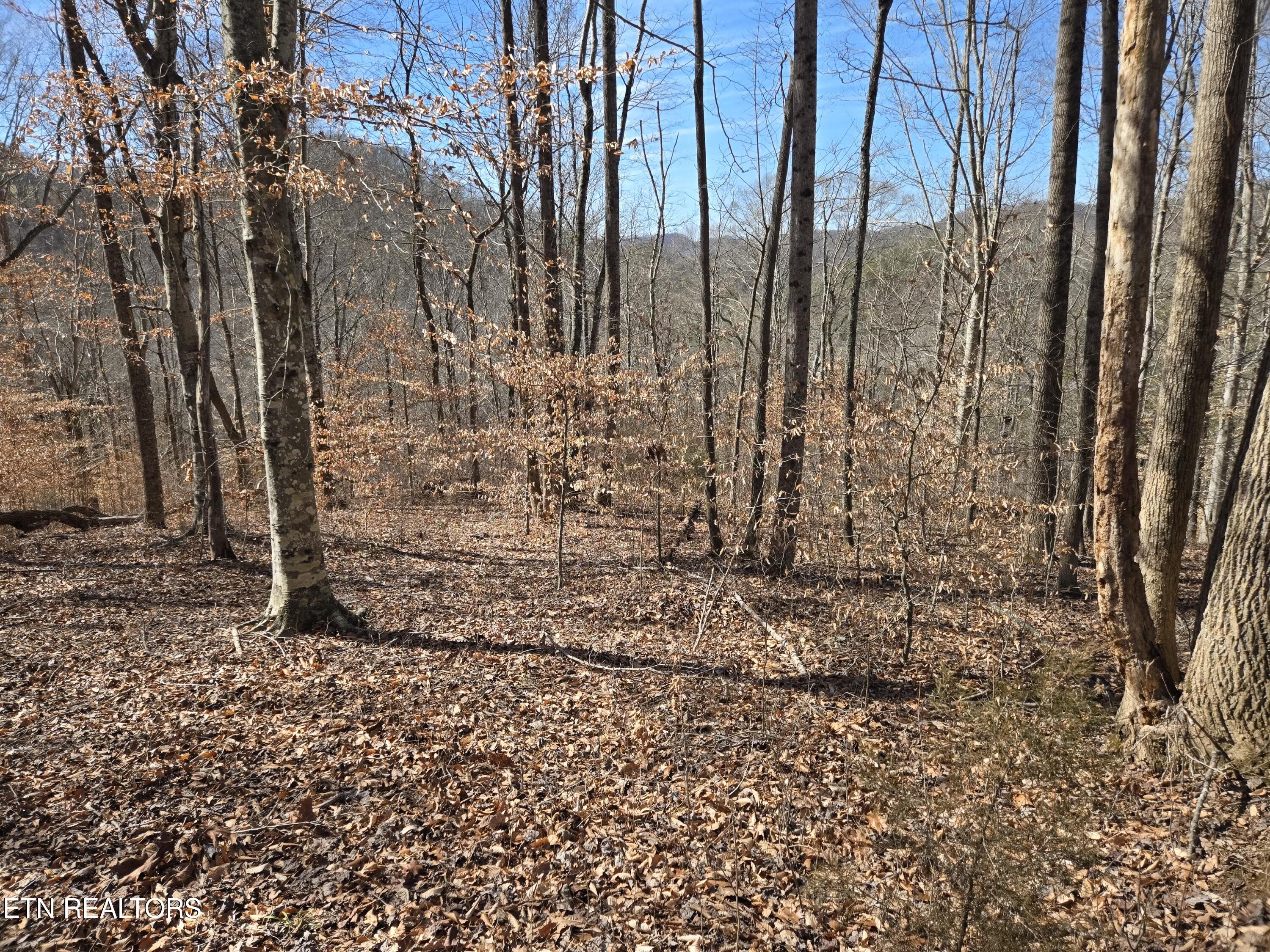 204 Archer Road Luttrell TN 37779