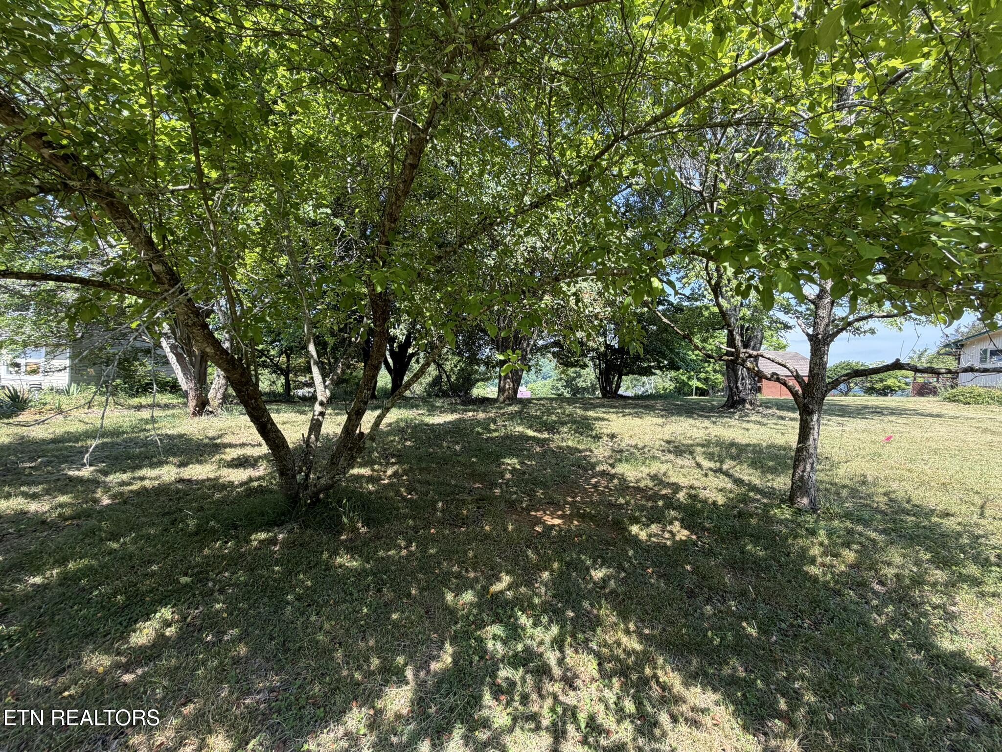 Lot 23 Morris Lane Kingston TN 37763