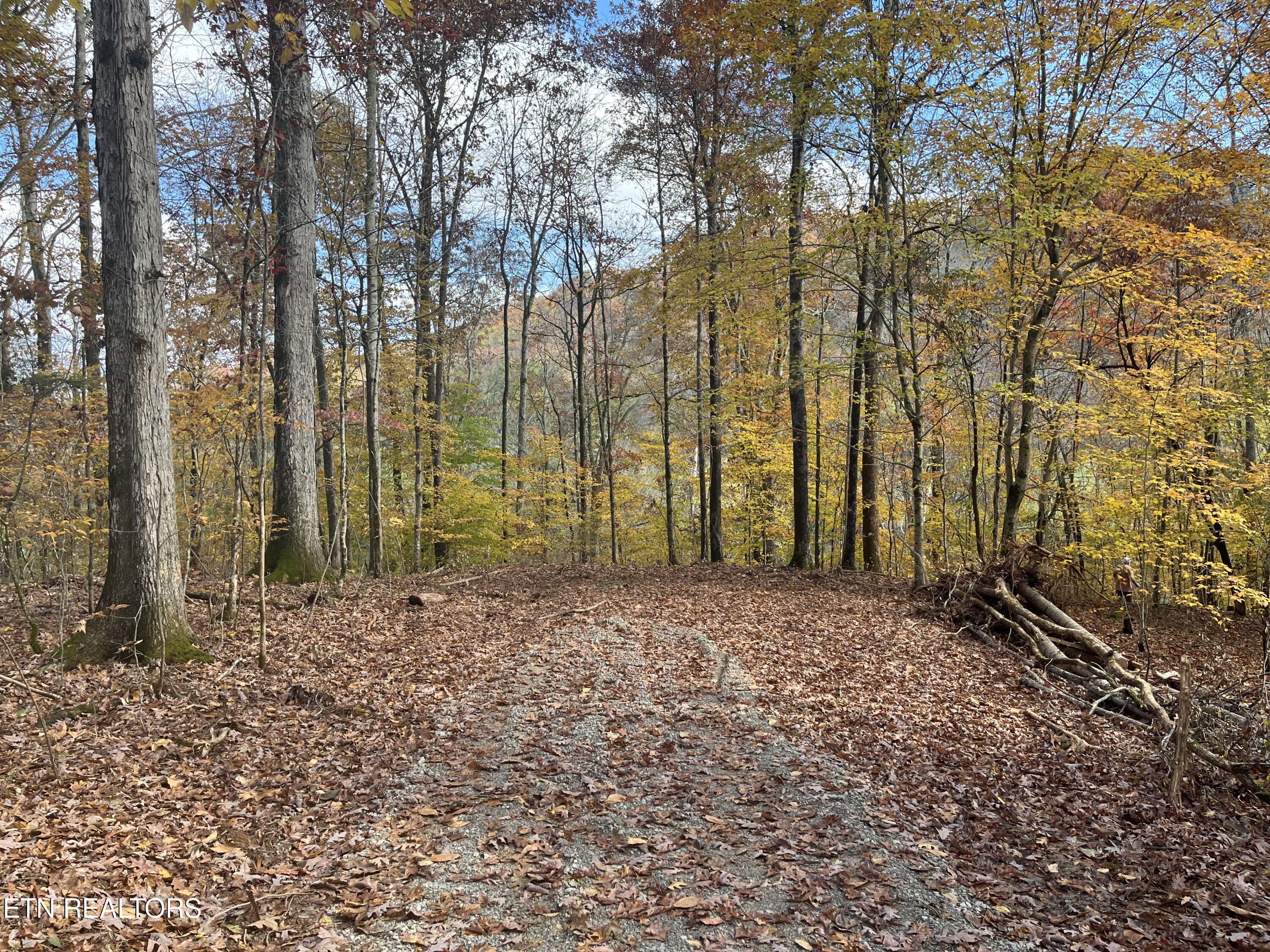 2168 Fairview Road Tellico Plains TN 37385