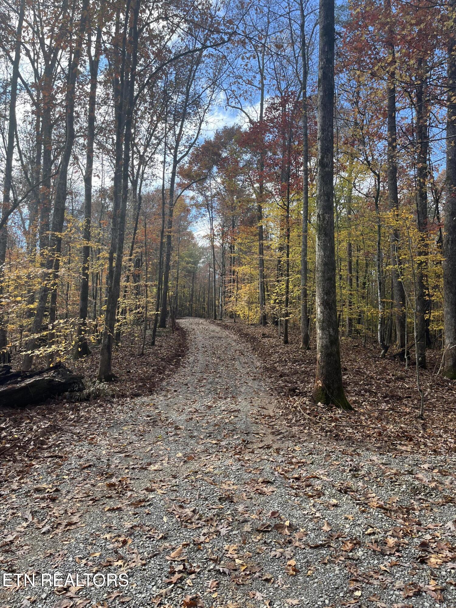 2168 Fairview Road Tellico Plains TN 37385