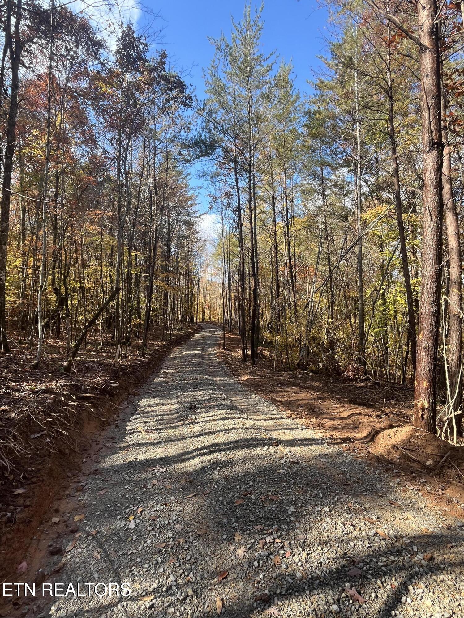 2168 Fairview Road Tellico Plains TN 37385