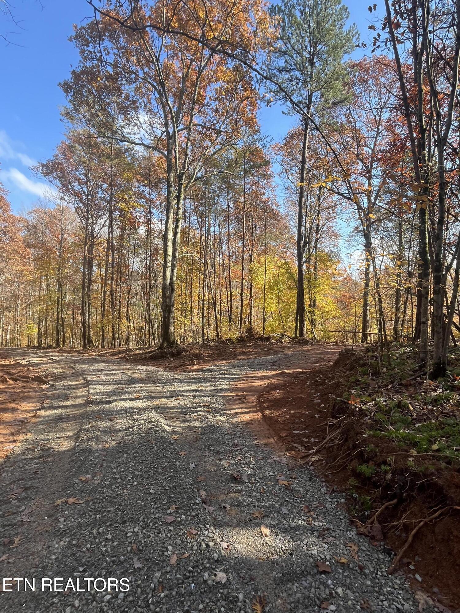 2168 Fairview Road Tellico Plains TN 37385