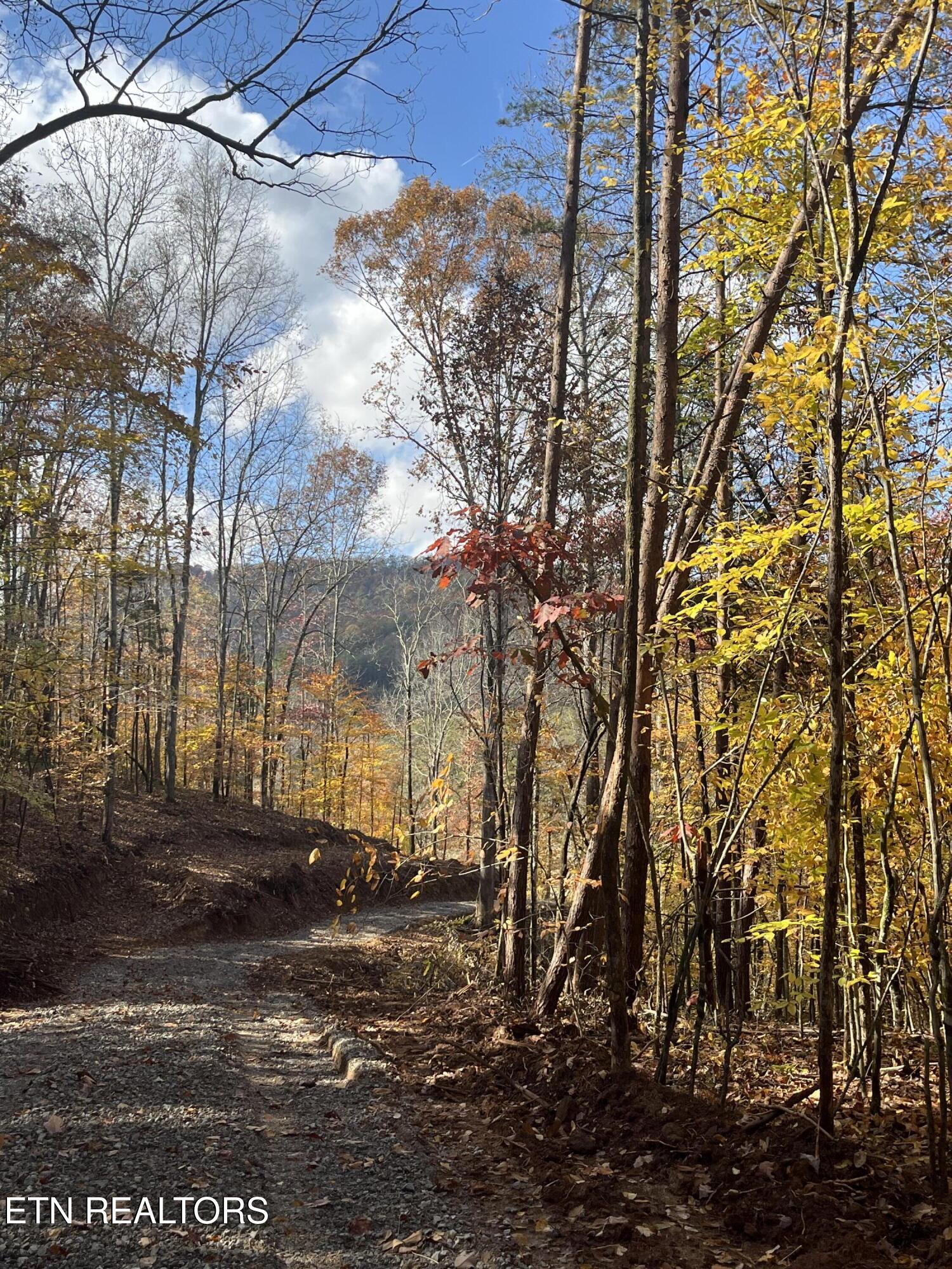 2168 Fairview Road Tellico Plains TN 37385