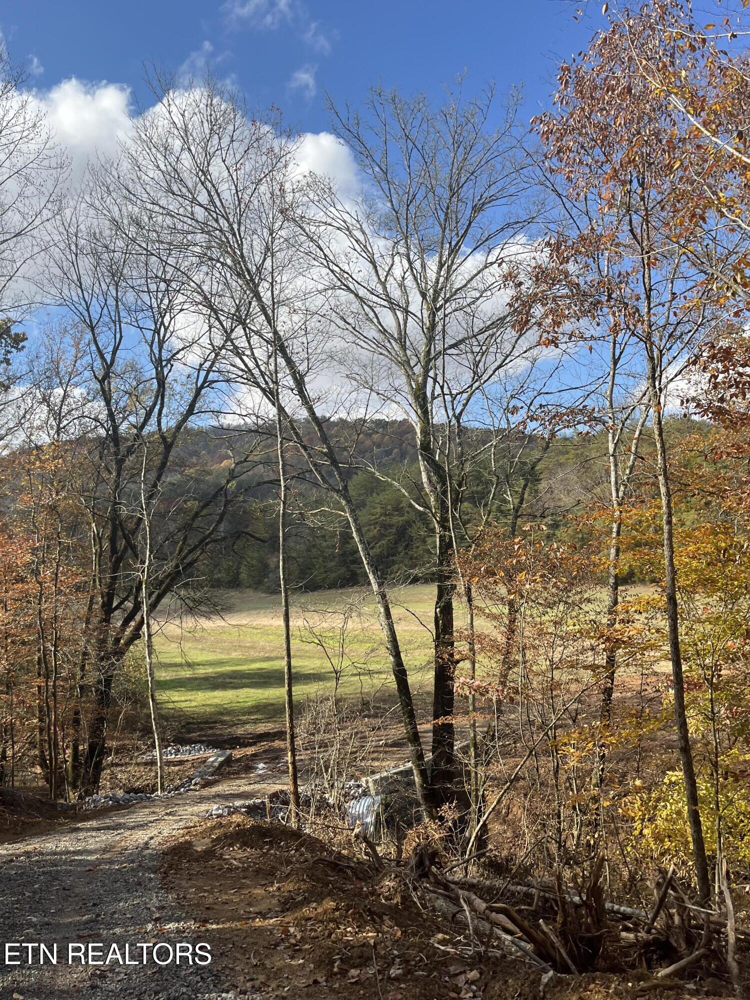 2168 Fairview Road Tellico Plains TN 37385
