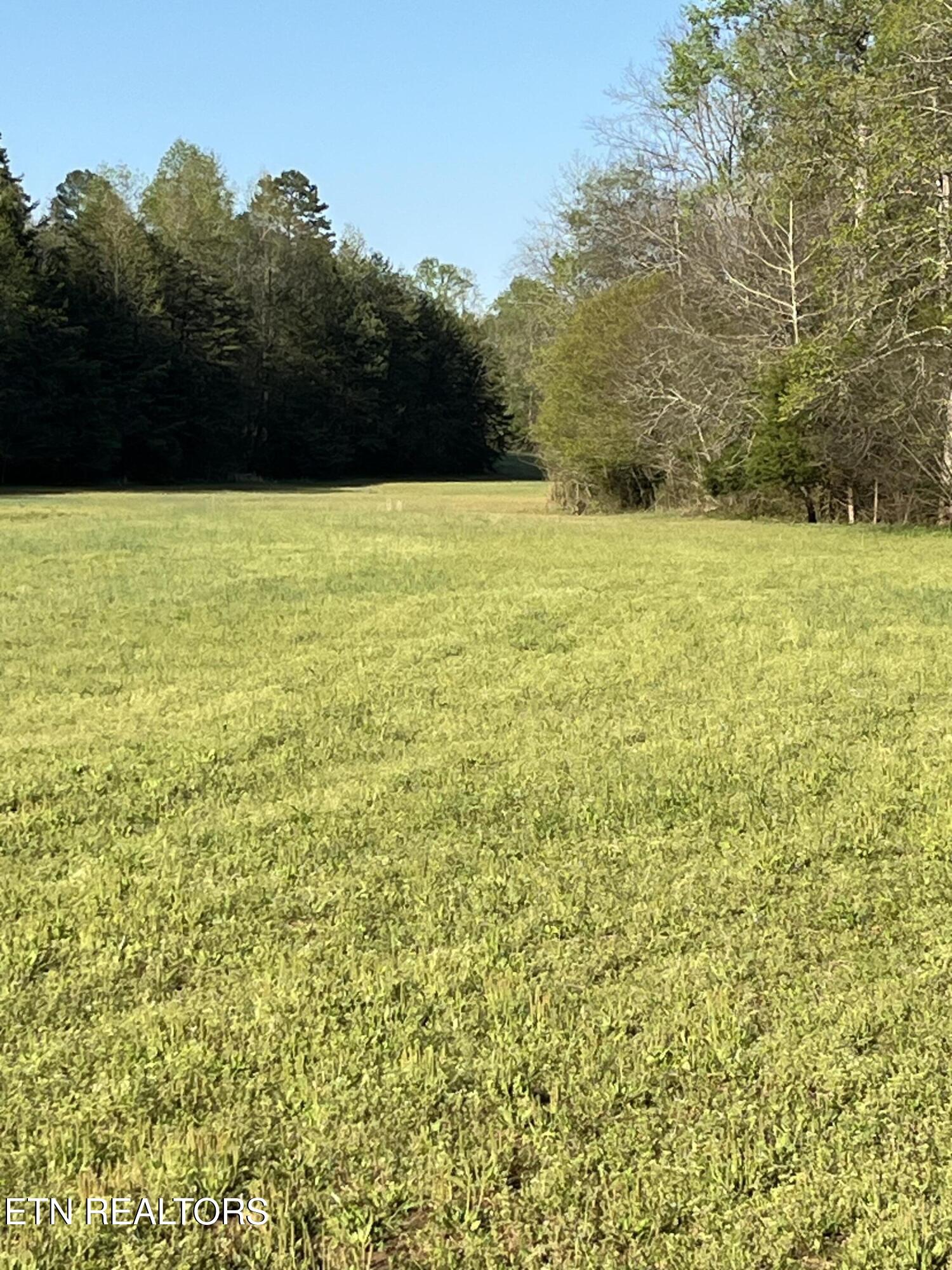 2168 Fairview Road Tellico Plains TN 37385