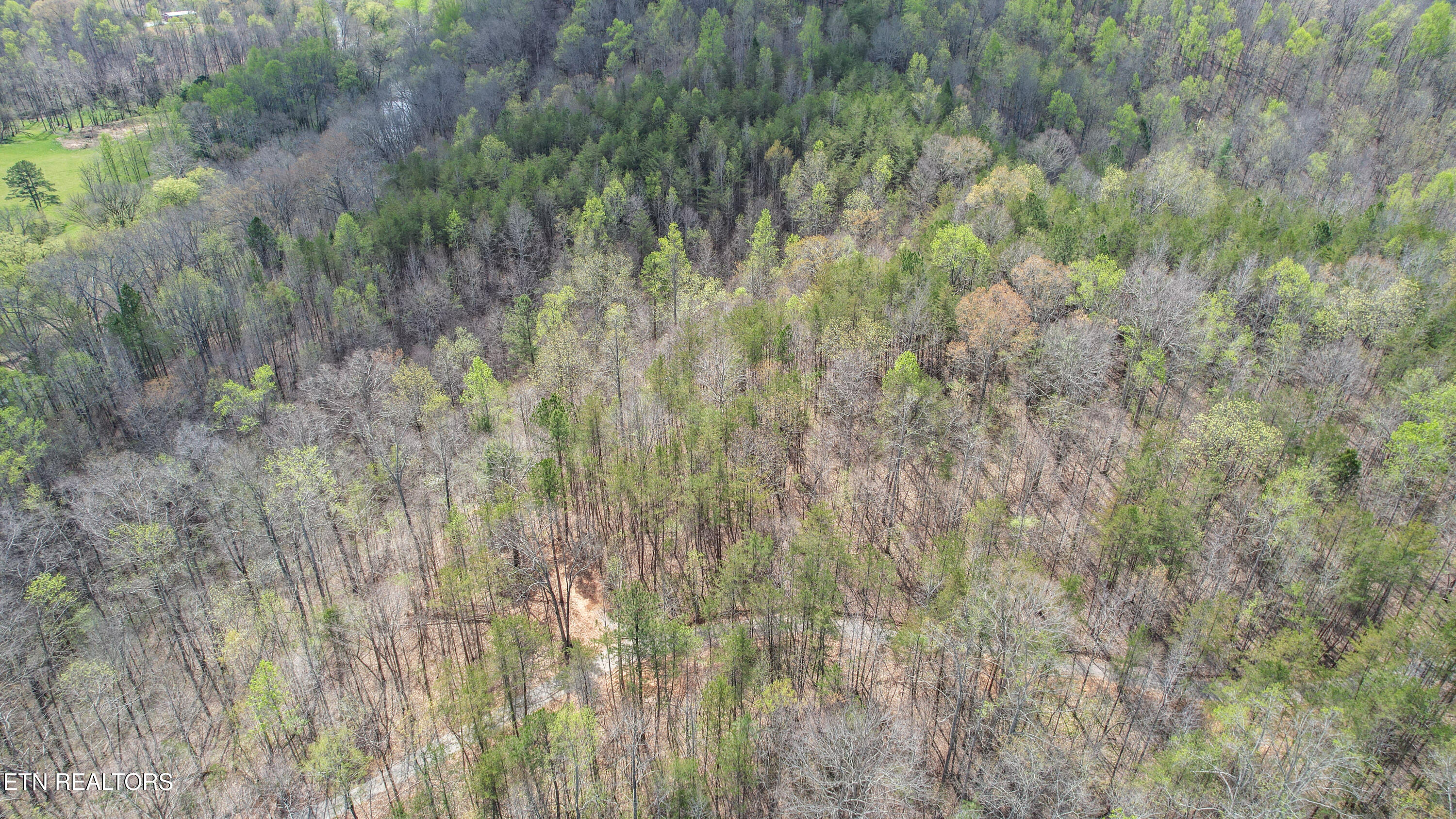 2168 Fairview Road Tellico Plains TN 37385