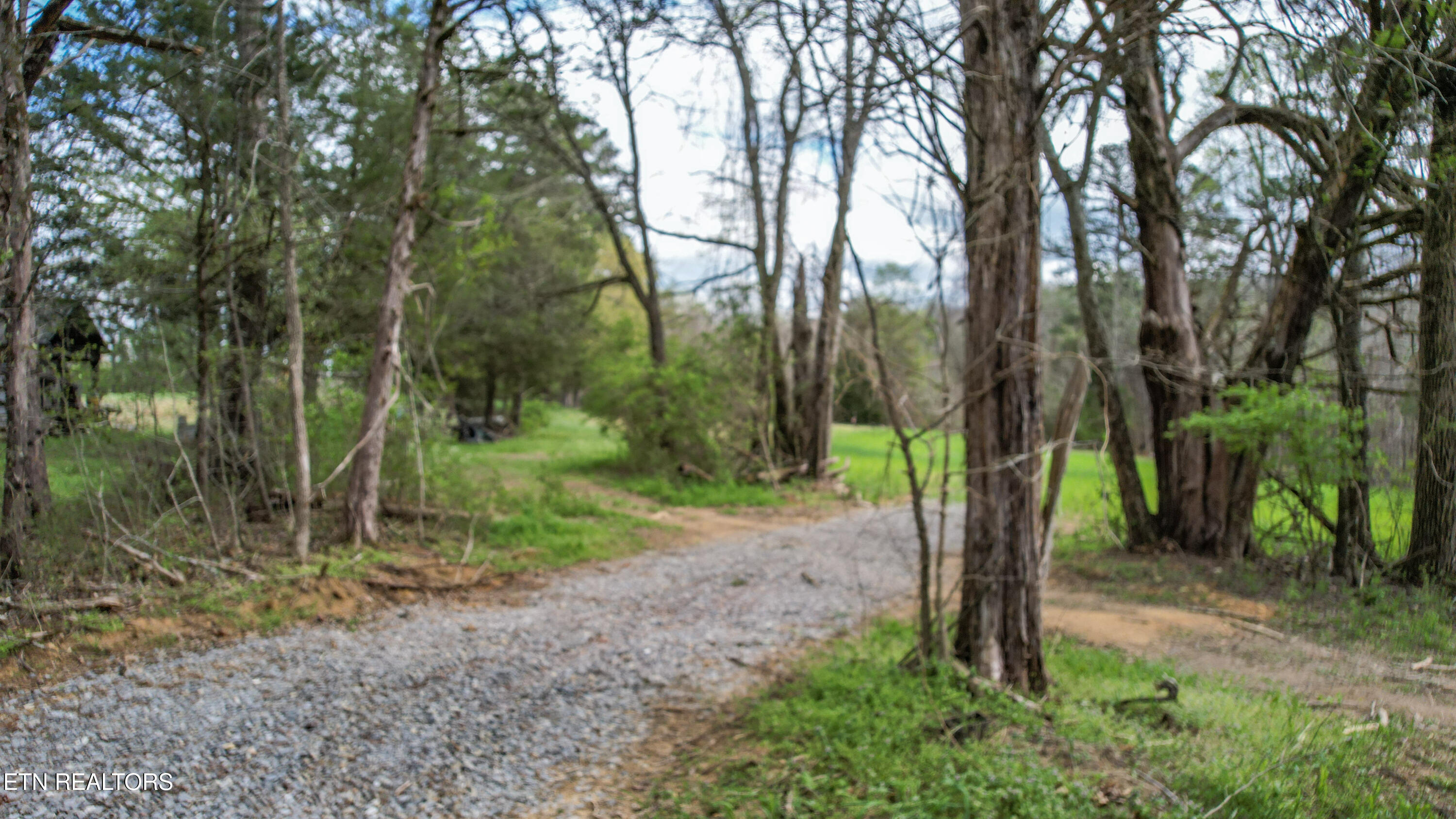 2168 Fairview Road Tellico Plains TN 37385